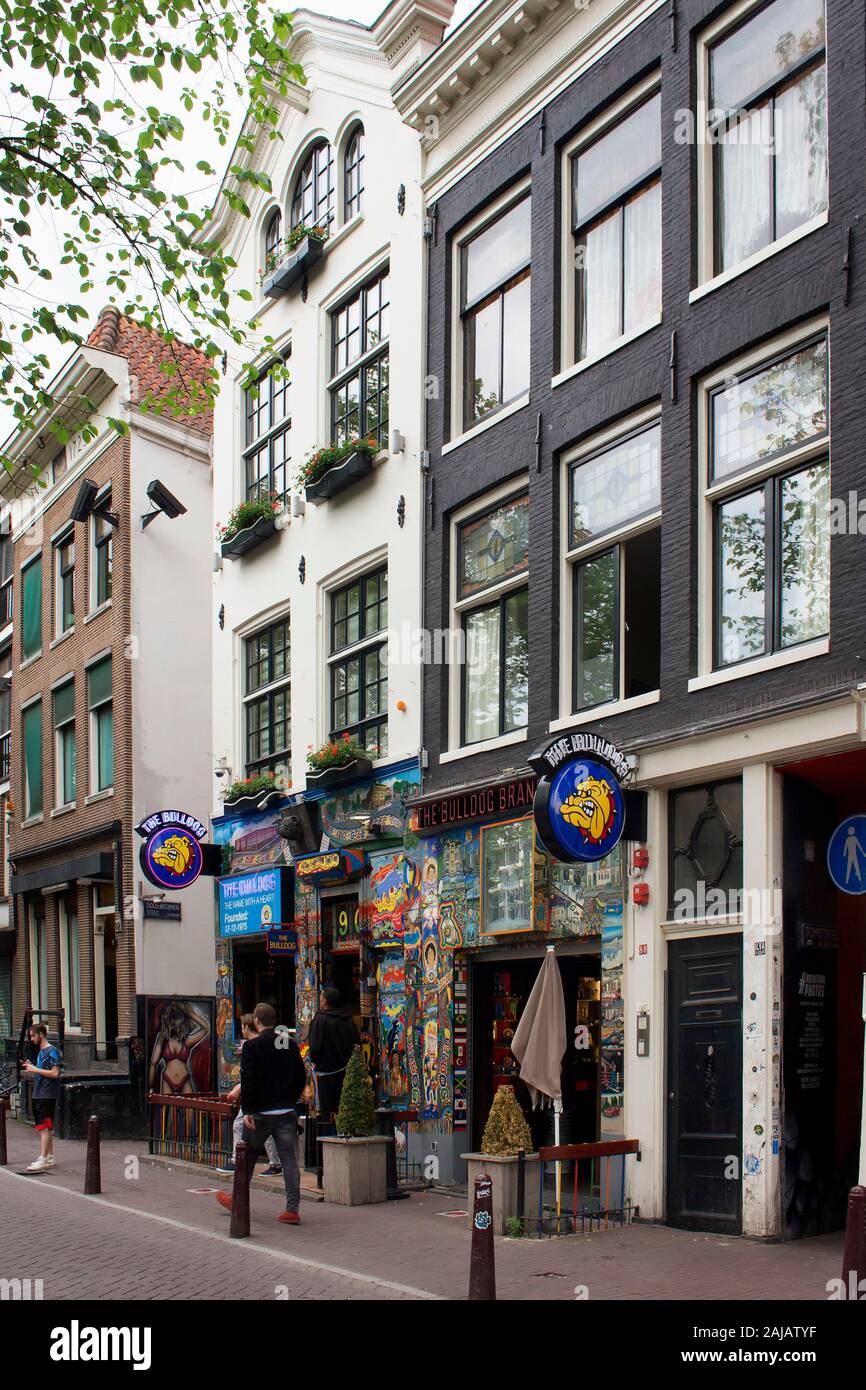 Vista di uno dei caffè di erbaccia catene e gente che cammina sulla strada ad Amsterdam. Tradizionali e tipici edifici olandese che riflette lo stile architettonico Foto Stock