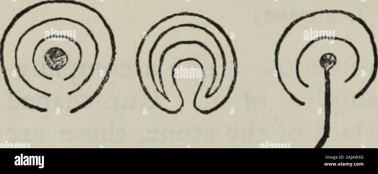 Miti e leggende ; il Celtic gara . r essi arefound, significano la stessa cosa, difficilmente può essere messo in dubbio,ma ciò che è significato rimane ancora un puzzle per anti-quarians. La congettura può essere forse rischiato thatthey sono diagrammi o piani di un sepolcro megalitico.La cavità centrale rappresenta la sepoltura reale-posto.I cerchi sono le pietre permanente, fosses, e spesso rampartswhich circondato esso ; e la linea o condotto drawnfrom centro verso l'esterno rappresenta il subterraneanapproach al sepolcro. L apparente avenueintention del condotto è chiaramente evidenziato in thevarieties di seguito riportati che Foto Stock