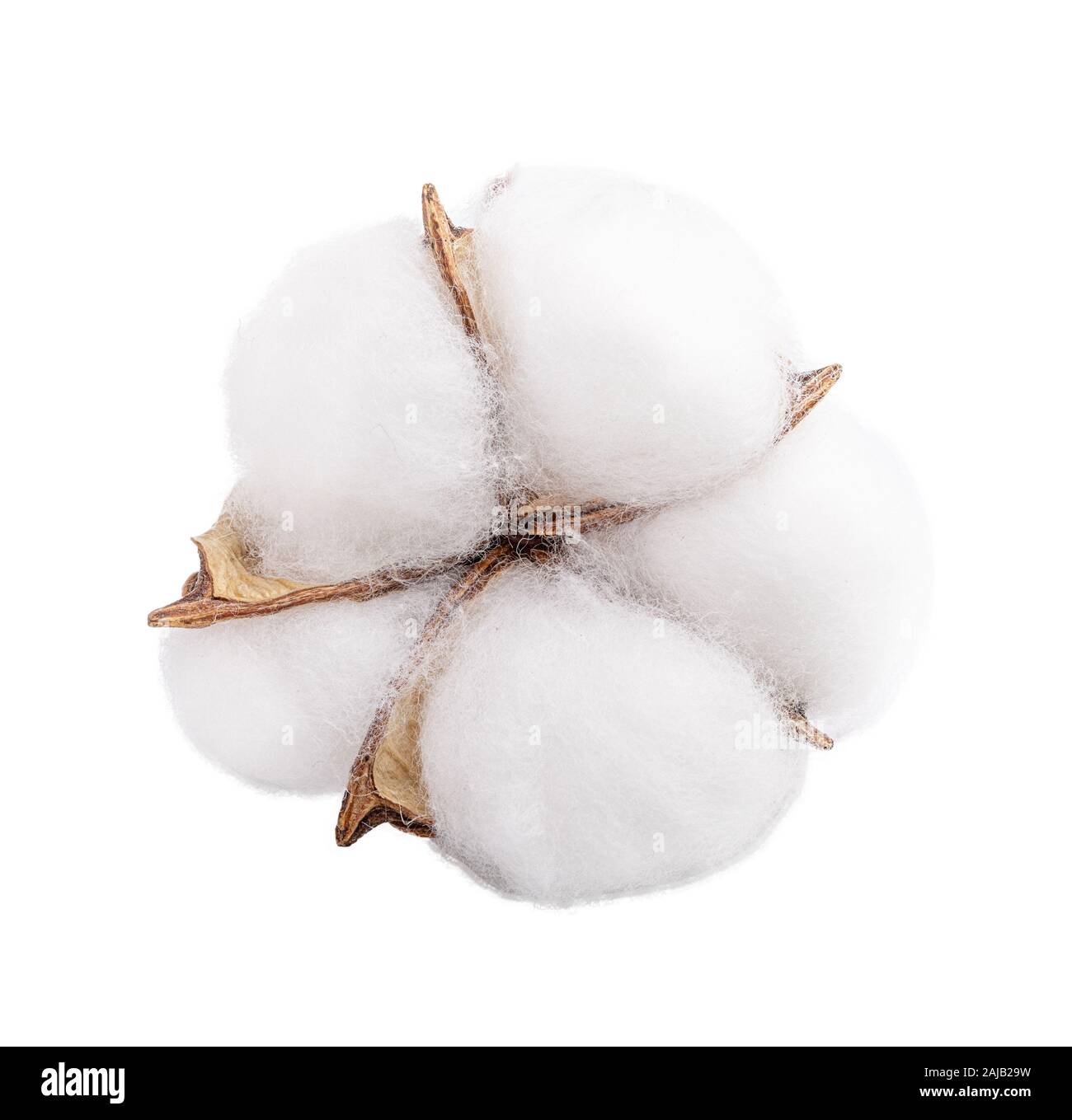 300 Batuffoli di Cotone 100% Puro - Palline Morbide Bianche per La Bellezza, Cura Personale e Progetti Fai Da Te