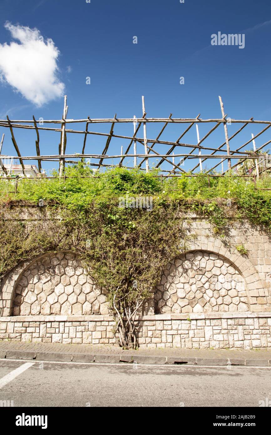 Albero su una strada laterale sul marciapiede a Sorrento Italia Foto Stock