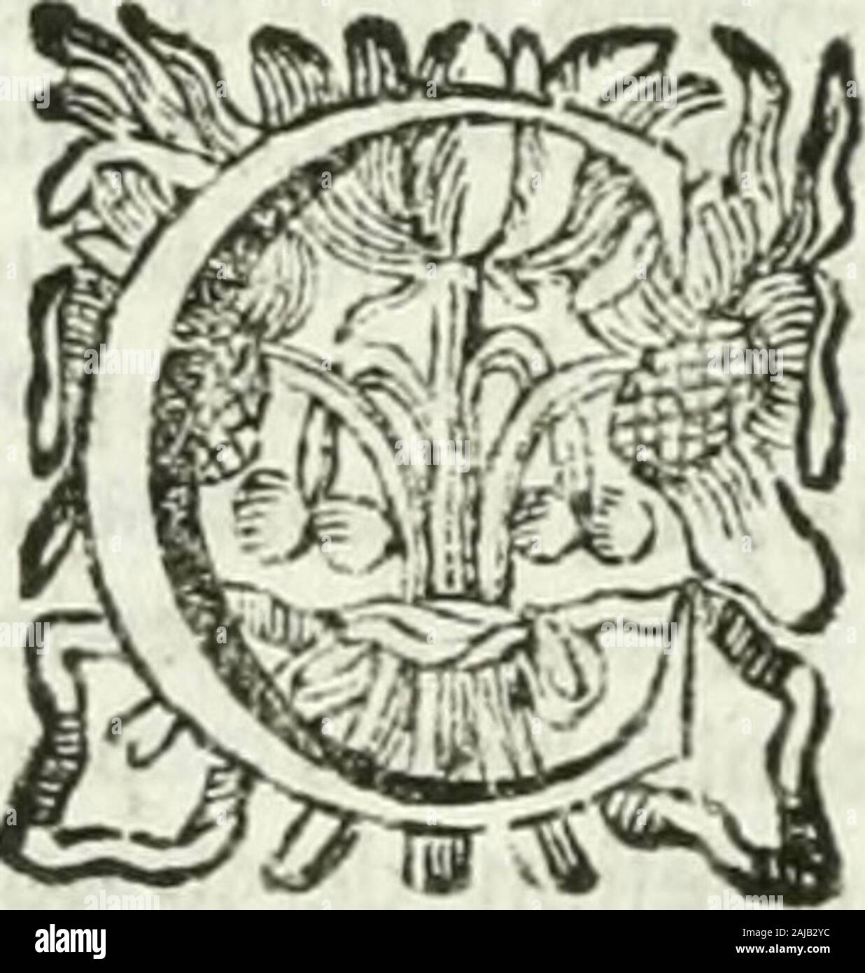 Historia general de los hechos de los castellanos en las islas mi tierra firme del mar oceano . s , que trabajaban enLosMeii- la Fortaleza, fueronie à la Iglefia, ho deíigetosde alli á Cafa de Sandoval , porque les pa-Kaivaez rcció la mejor. El Clérigo Guevara hi-halilan á ^(, [^ falutacion ,io vna grande arenga,Sandoval contando Los Gallos , 1 ra^-oncs de Die-go Velazqucz,pidiendo, que todos fue-icn ádár la obediencia á Panfilo de Nar-vacz, en nombre del Adelantado, quehavia llegado con aquella Armada , conalgunas palabras dcmafiado de libres-Gonzalo de Sandoval le dixo, que lei-nando Cortés , Foto Stock