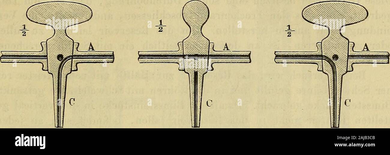 Physiologische Methodik : ein Handbuch der praktischen Physiologie . n. Da die unten Recipienten einen Schliff mit einemGlasstöpsel besitzen, So kann statt dessen jedes beliebige Gefäss ange-fügt werden, sofern es nur Mit einem Zapfen versehen ist, welcher indiesen Schliff passt. 1) Pflüger. Die normalen Gasmengen des Blutes arteriellen nach ver-besserten Methoden. Ceutralbl. für die med. Wisseusch. Jahrg. V, S. 723. 1867. ^) Dieser doppelt darcLbolirte Hahn Avird nach seinem Erfinder Sengnerd-csrsa Hahn genannt. Senguerd erdachte ihn um das Jahr 1685 bei Gelegen-heit der costruzione circuizione L Foto Stock