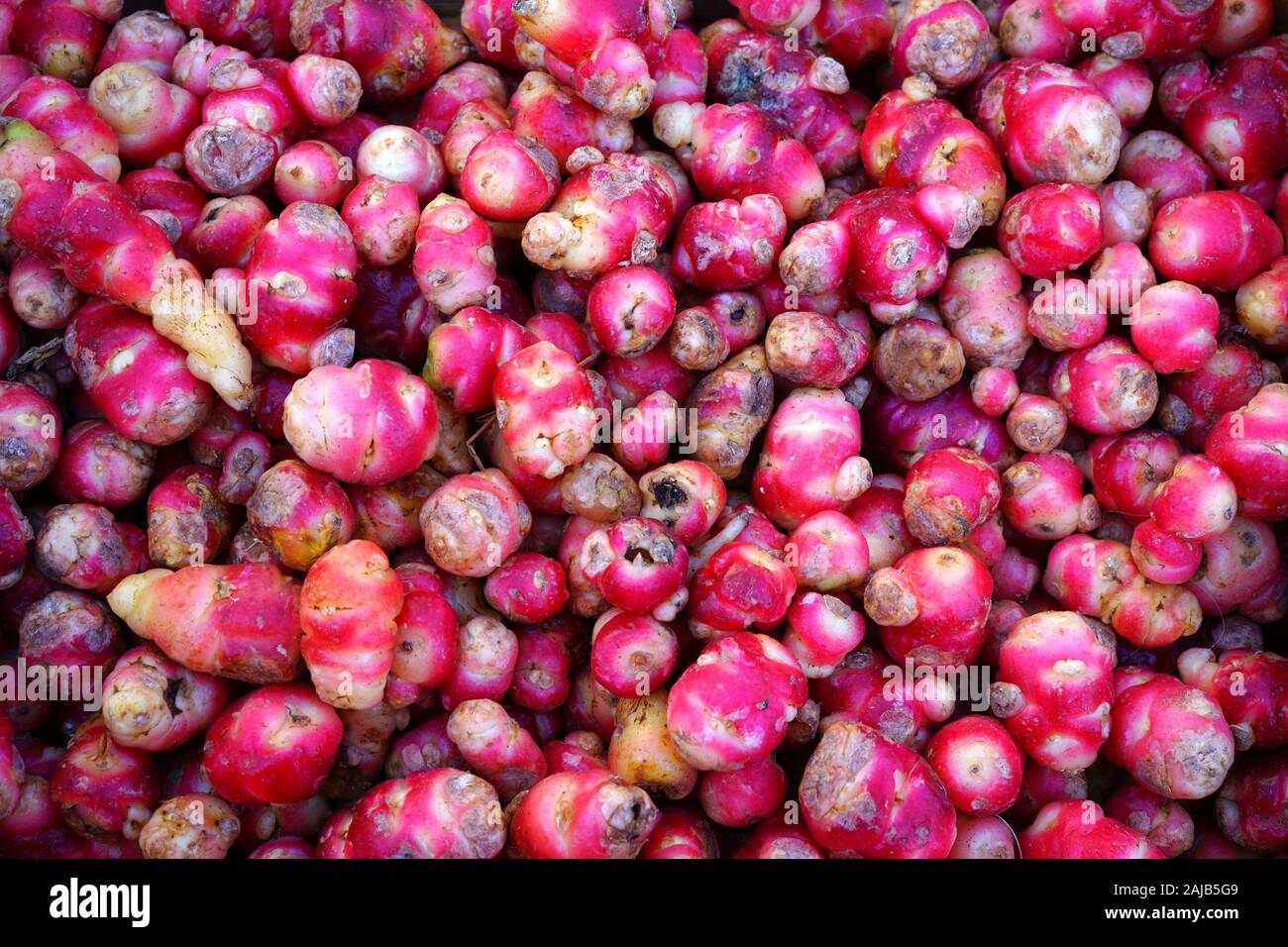 Colorata di rosso e di giallo radici di oca tubero dal Perù (Oxalis tuberosa) in corrispondenza di un francese di mercato degli agricoltori Foto Stock