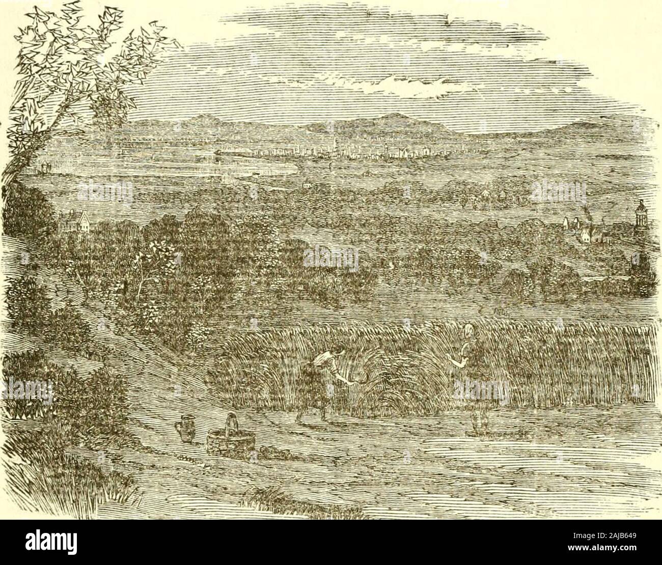 Le opere complete di Robert Burns (self-interpretazione) . ked una mezza dozzina di miglia per pagare i miei rispetti finoal Leglen legno, con tanto entusiasmo devota everpilgrim come ha fatto a Loreto, ed esplorato ogni den e dell in cui potrebbe supporre nry eroica conterraneo di avere depositato. Quando il sig. Murdoch il supporto sinistro olifante, il educationof la famiglia cadde sul padre che, quando i ragazzi si infrom manodopera sul bordo del crepuscolo invernale, accende il suo candleand insegnato loro aritmetica. Egli ha anche, quando impegnato nel lavoro della vita di Robert Burns. 217 con i suoi figli, diretto alla conversazione per migliorare soggetti.Ha ottenuto Foto Stock