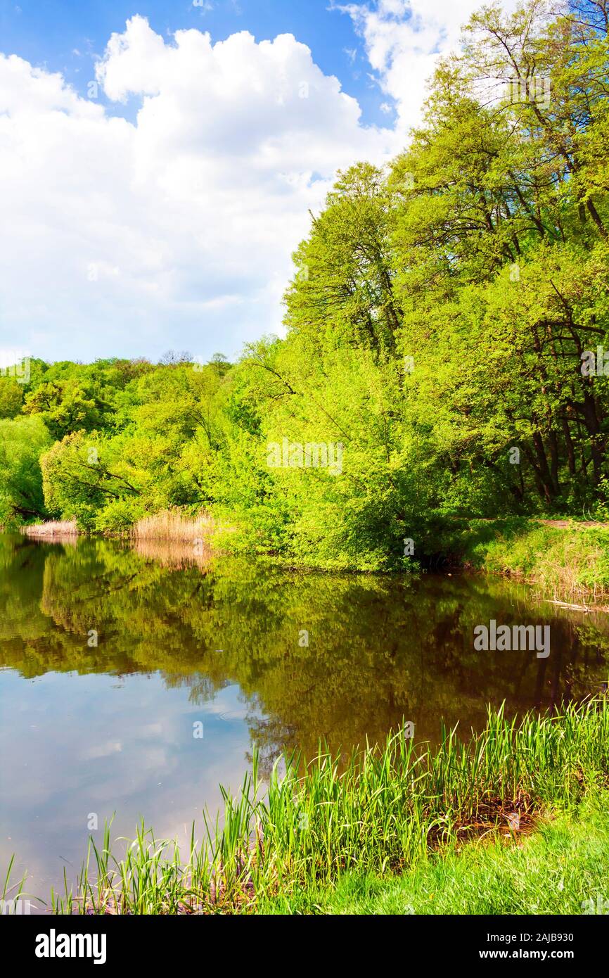 Lago di foresta in primavera. Holosiivskyi Parco Naturale Nazionale a Kiev, Ucraina Foto Stock