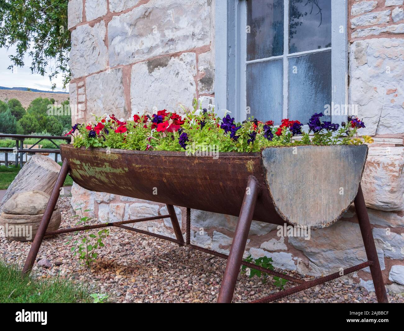 Contenitore per fiori accanto alla casa di pietra, John Jarvie proprietà storica, Browns Park, Utah. Foto Stock