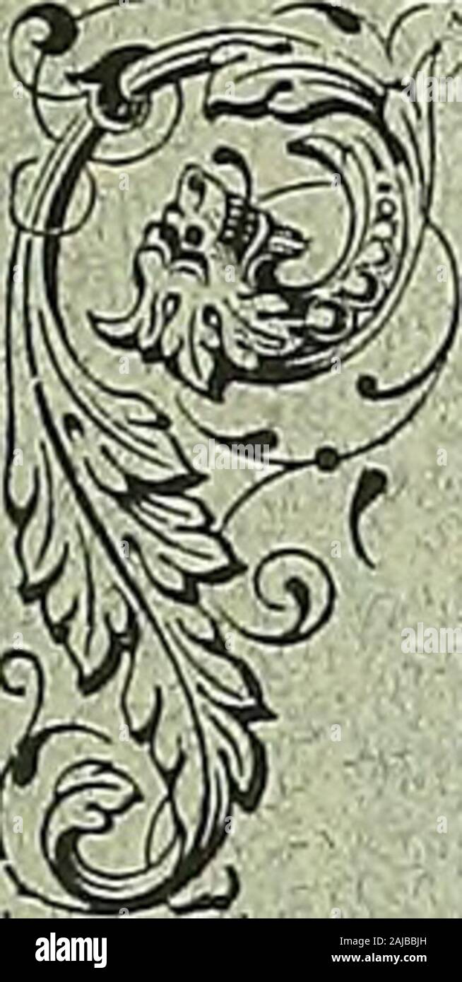 Biologia Centrali-Americana o, contributi alla conoscenza della flora e della fauna del Messico e America centrale . Parte XVI. (Testo).] [agosto 1902. B I LOG 0 ho un GENTRALI-americana; o, CONTRIBUTI ALLA CONOSCENZA DELLA FLORA E DELLA FAUNA DEL MESSICO E AMERICA CENTRALE. A cura di F. DUCANE GODMAN. Archeologia. Da A. P. 1&AUDSLAY. Contenuto. Test. (Vol. II. pagg. 39-47). Foto Stock