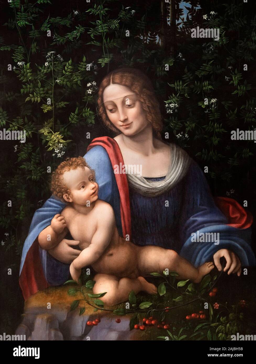 La Madonna e il bambino in un Gelsomino Bower da Francesco Melzi (1491-1570), olio su pannello, del XVI secolo. Melzi è stato un allievo di Leonardo da Vinci. Foto Stock