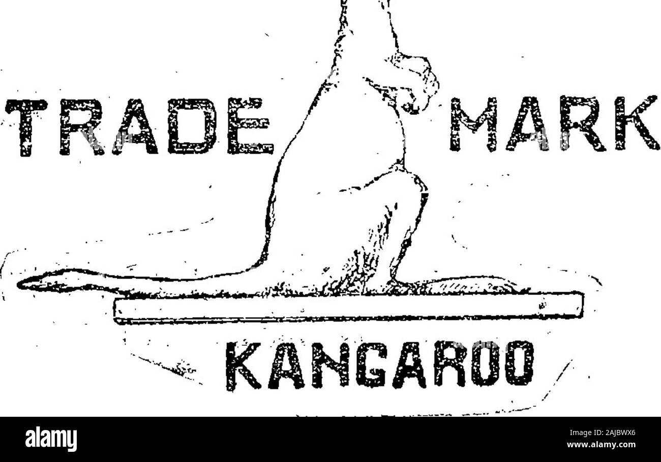 Boletín Oficial de la República Argentina 1916 1ra sección . lActa n. 52.FF3, Agosto 31 de 1915. - Eugenie Lem beyc. - Extractos, esencias, jobones,iiíeites y demás artículos de tocador, de la clase 16, (modificada).. ! ??? V-3 abril. ¡ . , , .   ™ Acta n. 52.110.    / C^&GT;. Foto Stock