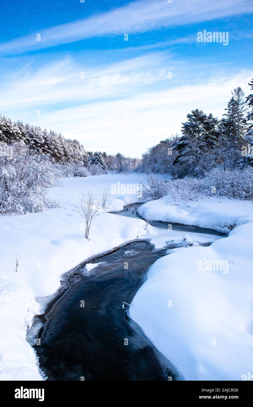 Esecuzione del flusso attraverso una coperta di neve Wisconsin foresta con la neve che copre gli alberi in gennaio, verticale Foto Stock