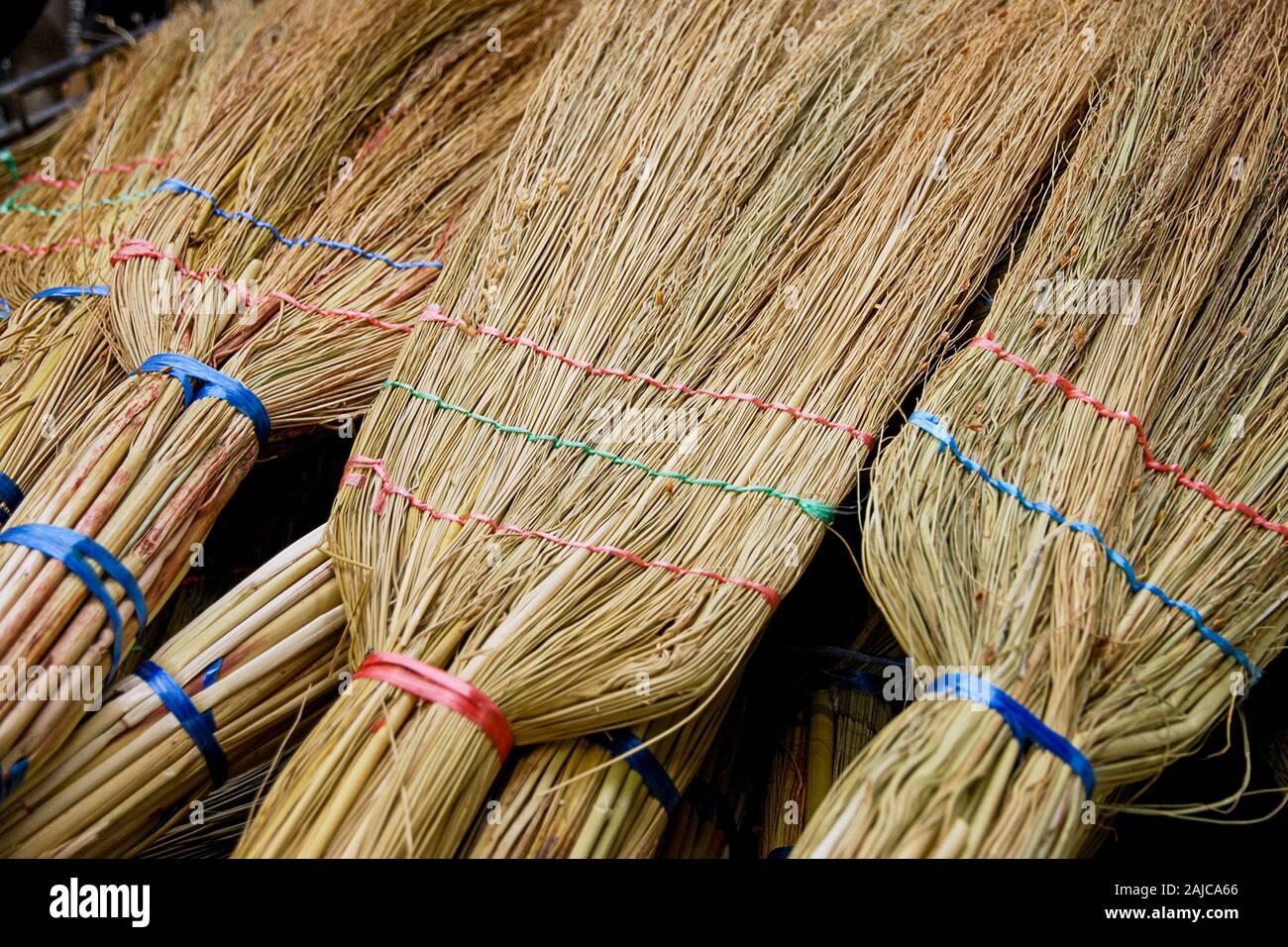 Broomcorns naturale del sorgo in negozio per uso domestico Foto Stock