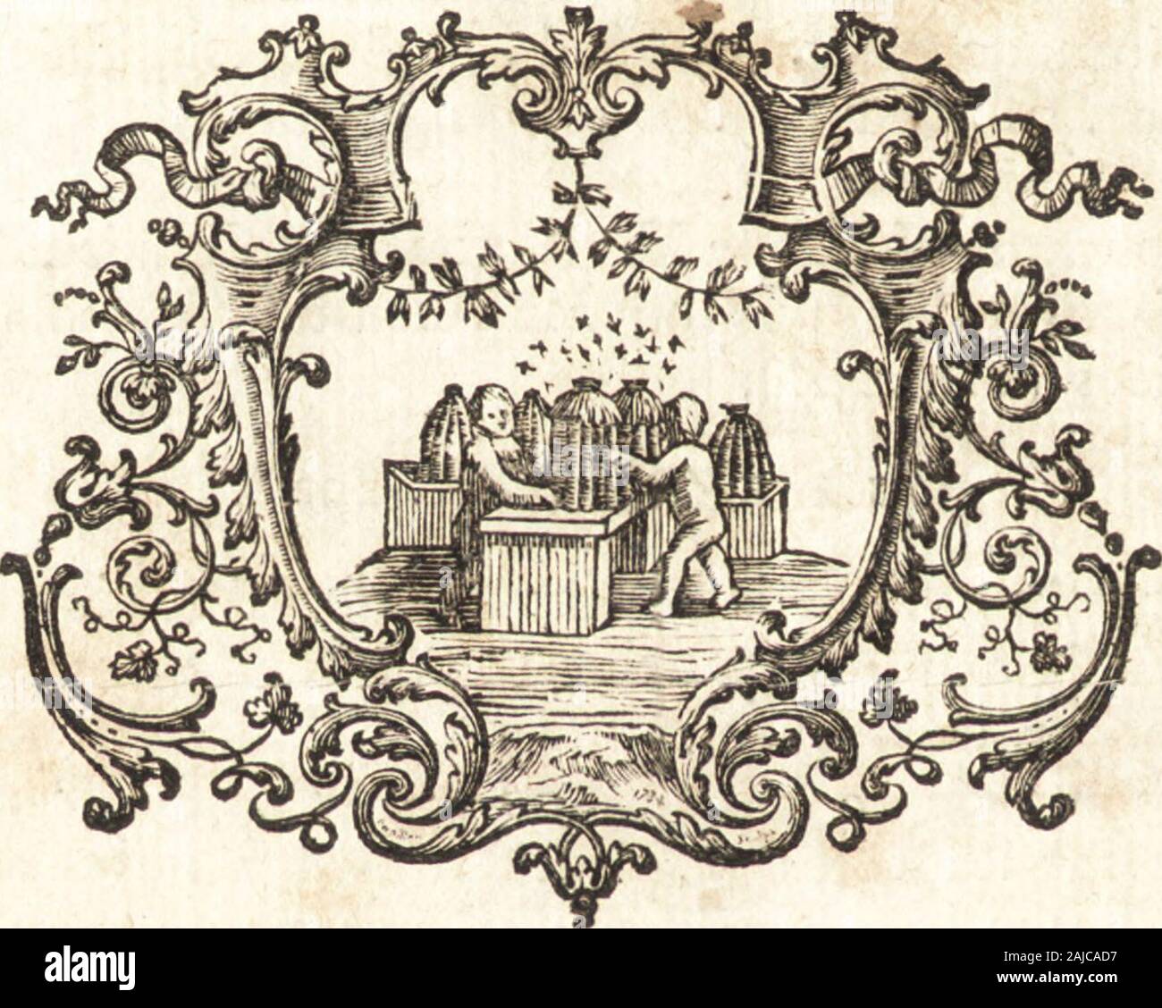 Astronomie . ds. Pondichéri, la barre eft fi forte, fi haute, & déploie filoin ; elle enlevé , & ramené sfiato Fou tant de favola,quon ne diftingue pas toujours la marée ; mais quandla mer eft tranquille , Il juge quelle marne de 2 à 3 pieds, fuivant une nota manuferite de M. le Gentil. Maisdaprès quatre Obfervations faites fur leau dun puits,qui participoit au flux & au riflusso de la mer , su peutcroire quelle monte de 8 pieds au moins. Viaggio auxXndes , Tom. I, pag. 700. X X ij 548 TRAITÉ DU FLUX,ôcc. Heut.Mïrv Moluques Aux, & fur la côte occidentale de lîle per-mofe , la mer ne monte que de 3 ou Foto Stock
