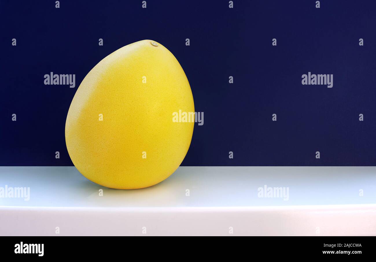 Pomelo rosso. Frutto giallo su un classico profondo blu su sfondo bianco un davanzale con copia spazio. Vegan Still Life Foto Stock