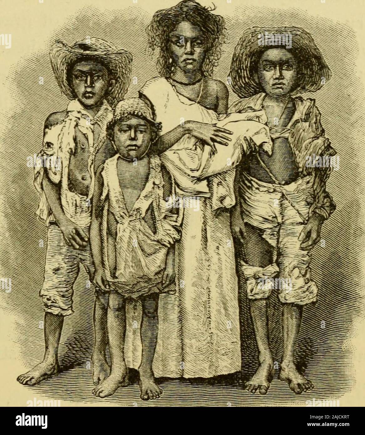 Il Brasile, le Amazzoni e la costa . ns a loro il comando ; molti themwere composta di uomini incompetenti, e alcuni sono stati palpa-bly disonesto. Carità privata salvato molte, ma già, inJuly e agosto, punteggi di morti di fame wererecorded. In ottobre e novembre questi decessi werecounted dai loro tariffa giornaliera: dieci, quindici, venti anche ina refugeecamp singolo, dove per gli HAPS dieci o fif-teen thousandwere raccolte.ampiamente morenumerous werethe decessi fromdisease. Thefilthiness di thecamps e delcarrello refugeesthemselves,conle combinato per la mancanza di cibo,li ha fatti aready preda toepideipics. In primo luogo è venuto Foto Stock