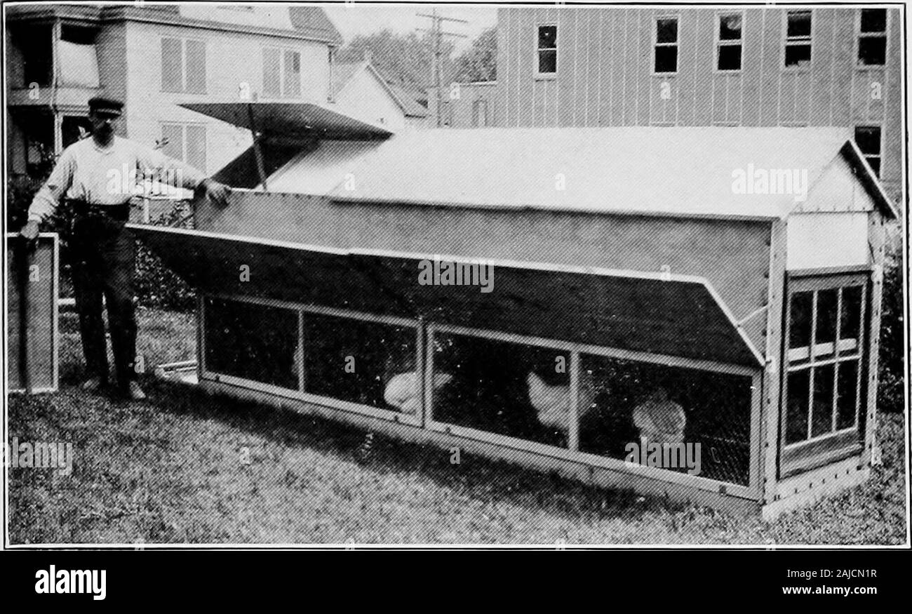 Il sistema Philo progressiva di pollame mantenendo . rrangement sopra illustrata è più satisfactoryin il nostro lavoro rispetto a qualsiasi altro che abbiamo provato. Non tenere come largea fornitura di alimentazione come molti, ancora la semplicità, costi di costruzione, andsaving nei mangimi dovrebbero compensare la manodopera supplementare di tamponamento. La scatola è di sei pollici profondo, dieci pollici di larghezza e come lungo come neces-sario per ospitare il gregge. Montanti che si estendono tre pollici sopra versol'estremità superiore della scatola sono inchiodati negli angoli per incernierare la copertura a andhold in posizione. La casella viene riempito un po' oltre la metà piena di alimentazione e una striscia di su Foto Stock