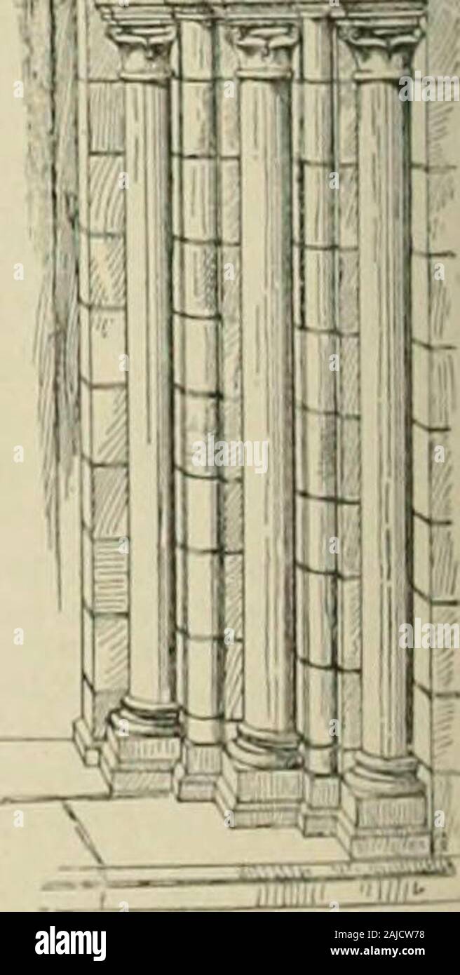 Il dizionario del secolo e dell'enciclopedia, un lavoro di riferimento universale in tutti i reparti di conoscenza con un nuovo atlante del mondo . fense againstbrambles underlu ami-ush. jambolana, jambolan (jam-lio-lanil, .lam bo-lan),H. [E.Iud.] Un East Indian tree, iiH&LT;/c"in,fo"i6o/rtHa,con duro e resistente in legno e edi-ble frutta. o -, T jambone (jambon), II. [Cfr jamboree 2.] Trovanella gioco di euchre, una solitaria mano m verricello exjioses tlieplayer le sue carte e deve portare oneselected da un avversario, Punteggio 8 punti ifhe prende tutti i trucchi, altrimenti solo come toran mano ordinaria. Quali mani sono iihiyeil byagree Foto Stock