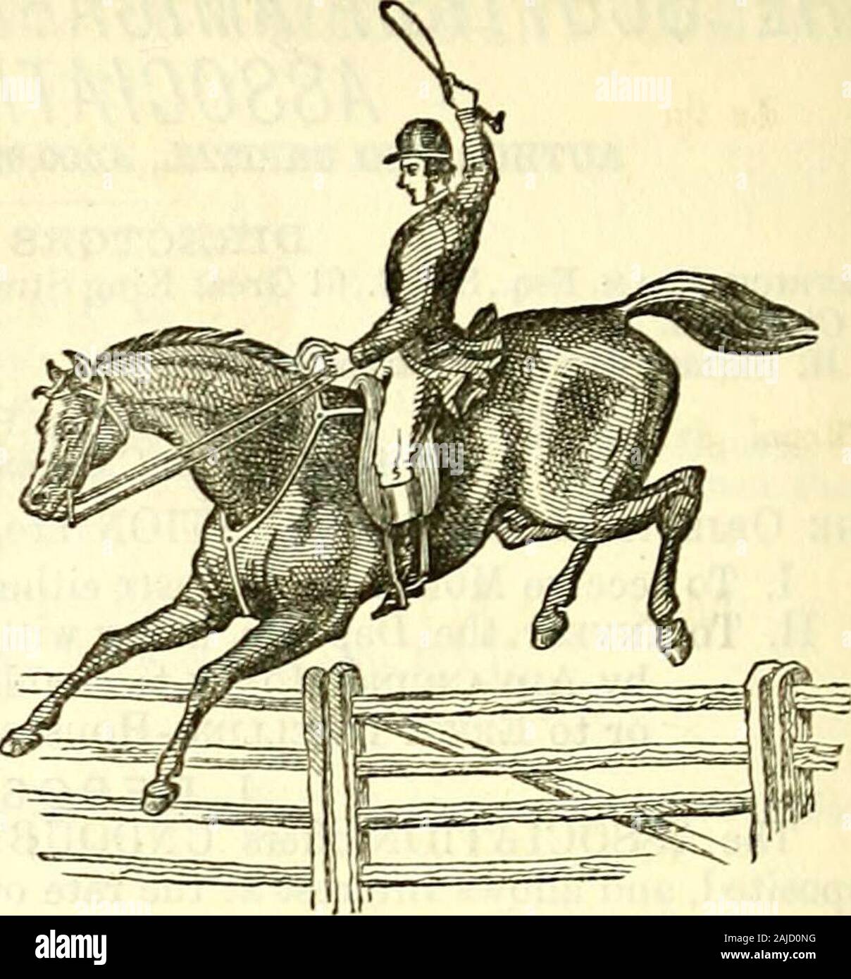 Ufficio postale di Edimburgo e Leith directory . -^^^.sWjri^Sf* il sig. RICHARD RAYNERI RIDING MASTER, WEST Y0TJI8 STREET METJSE, CEAELOTTE SQUARE. Casa, 2 Charlotte Place. Il sig. Rayneri rispettosamente informa la nobiltà e Gentry che quotidianamente Egli dà istruzioni-zione di onorevoli colleghi nell'elegante e aggraziato arte dell'Equitazione, e alsoDriving. Dal Sig. Rayners sistema, onorevoli colleghi sono insegnate a correre per la strada,Park, o campo perfetto con facilità e sicurezza. Dal Sig. Rayners grande esperienza echiudere applicazione per questo reparto, accoppiato con il singolare vantaggio di tutti i suoi Lessonsbeing dato Foto Stock