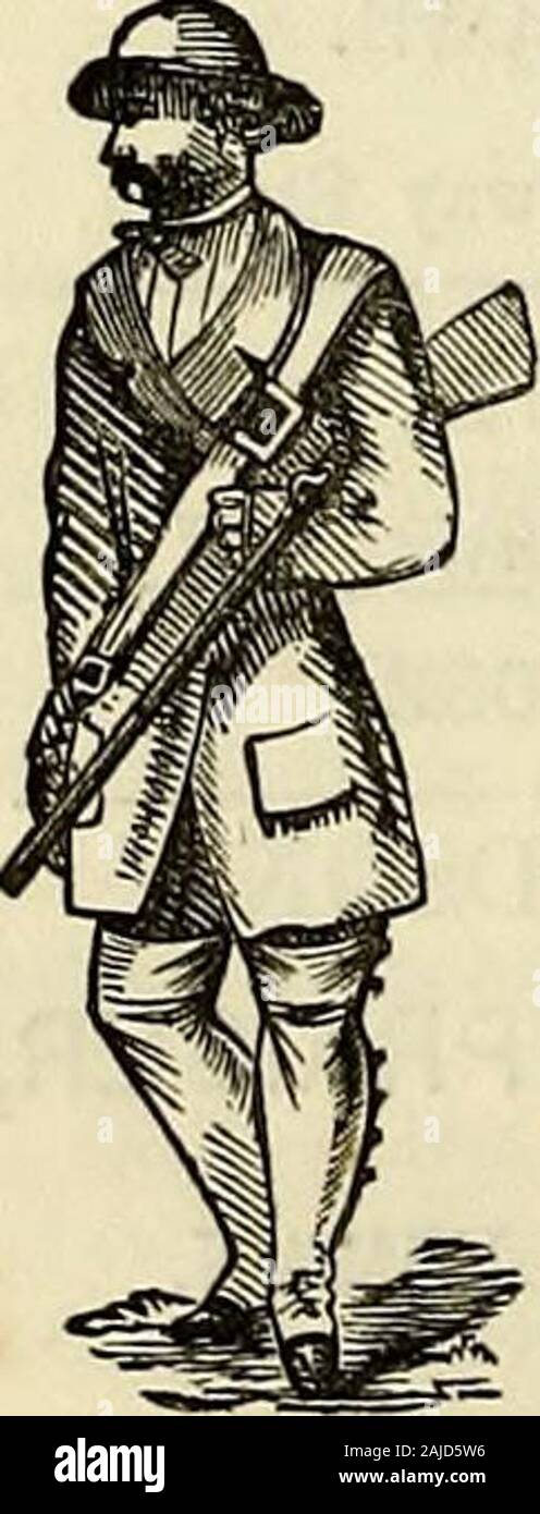 Rutherfurd meridionale del registro di contee per .. Essendo un supplemento alla almanacchi; accurati contenenti elenchi di enti pubblici, gli elettori registrati, &c e molte utili informazioni connesso con le contee di Roxburgh, Berwick, Selkirk, & Peebles . Magazzini-deserto e stazione ferroviaria, JAMES WALKEE, ALTA STEEET, MELROSE. ALEXANDER DAVIDSON,banditore e perito, inoltre allevamenti di ovini e bovini venditore, Quindicinale delle vendite di tutti i tipi di azienda agricola Slock. 79 contee del Sud Registrati Pubblicità fogli.-Melrose varie. 80 william SINCLAIR, DRAPEE, CLOTHIER, modista, e paglia-cofano fare Foto Stock