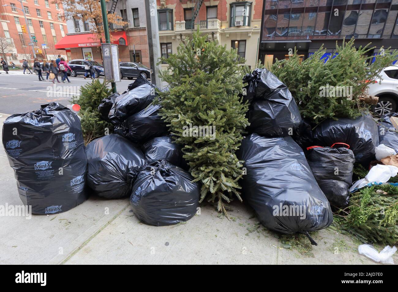 Scartare gli alberi di Natale si lancia sulla sommità di immondizia su un New York City marciapiede nel quartiere di Murray Hill di Manhattan (2 gennaio 2020) Foto Stock