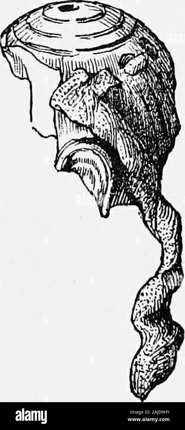 Mar Egeo archaeeology; un'introduzione all'archaeeology di epoca preistorica in Grecia . Hagia Triada vasi che hanno già beendescribed nel capitolo III, sono forse essere groupedwith trionfi di Minoan toreutic arte piuttosto thanwith fallimenti della sua scultura in pietra sul largerscale. Essi sono copie dei prototipi in metallo e theirart è direttamente derivato da quello del metallo-lavoratori. Sculture a tutto tondo ha iniziato nelle Cicladi in età theChalcolithic, con figure di Parian marmo,già accennato, che sono state collocate in cist-graves.Queste sono mostlyflat bambole di piccole dimensioni, talvolta fi Foto Stock