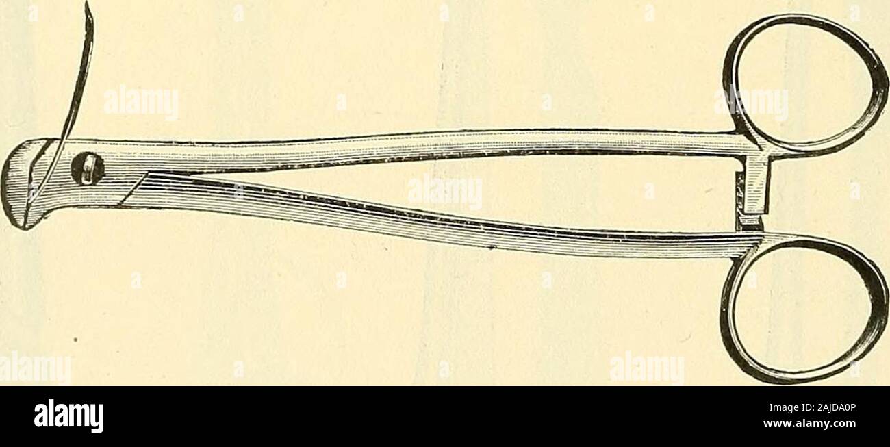 Catalogo di Sharp & Smith : importatori, produttori, grossisti e rivenditori di strumenti chirurgici, deformità apparecchiatura, arti artificiali, gli occhi artificiali, calze elastiche, capriate, stampelle, sostenitori, galvanica e batterie faradic, ecc., i chirurghi' apparecchi di ogni descrizione . -1333- 1330 324 SHARP & Smith, Chicago. I titolari di ago. FIG. 1322 Ago tenendo il forcipe, Mathis, per aghi curvi ......... $4 00 1323 matasse 3 00 1324 Heuels 3 00 1325 Emmets 2 25 1326 con fermo ". 2 65 1327 Reiners 3 00 132S francese 3 50 1329 Hagedorns, piccola 5 00 1330 grandi 6 00 1331 Fowlers 3 00 Foto Stock