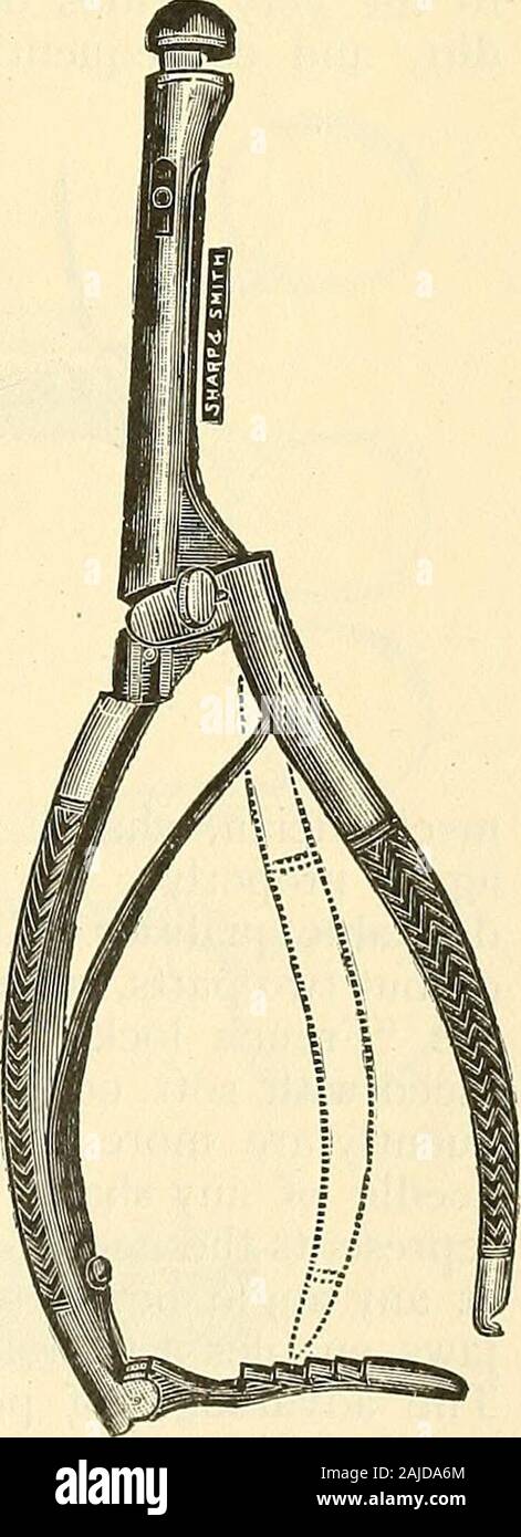 Catalogo di Sharp & Smith : importatori, produttori, grossisti e rivenditori di strumenti chirurgici, deformità apparecchiatura, arti artificiali, gli occhi artificiali, calze elastiche, capriate, stampelle, sostenitori, galvanica e batterie faradic, ecc., i chirurghi' apparecchi di ogni descrizione . -1333- 1330 324 SHARP & Smith, Chicago. I titolari di ago. FIG. 1322 Ago tenendo il forcipe, Mathis, per aghi curvi ......... $4 00 1323 matasse 3 00 1324 Heuels 3 00 1325 Emmets 2 25 1326 con fermo ". 2 65 1327 Reiners 3 00 132S francese 3 50 1329 Hagedorns, piccola 5 00 1330 grandi 6 00 1331 Fowlers 3 00 Foto Stock