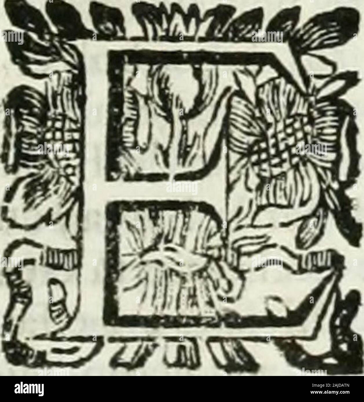 Historia general de los hechos de los castellanos en las islas mi tierra firme del mar oceano . la alCacique : hicole far vna Hermita, óOratorio , adonde la pufo , dando algu-na noticia de las cofas de Dios á los In-dios , diciendoles con algunas palabras,que havia aprendido en la Efpafiola , íipor medio de otros, que algo tabian laLengua , lo que aquella Luagen fignifi-cabaña: mi fue ammirevole la devoción , i ri-verencia , que de allí adelante la tuvie-ron , ho quan adornada ellaba la Igleíiade Paños de algodón , ho nuii barrida , iregada: hicieronle Los Indios Coplas enfu Lengua, que en fus Bail Foto Stock