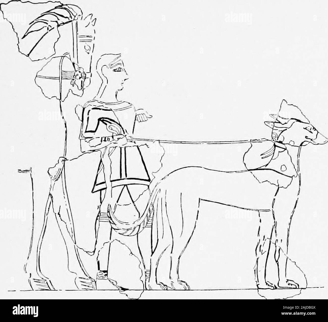 Mar Egeo archaeeology; un'introduzione all'archaeeology di epoca preistorica in Grecia . Fig. 72.-Cnosso ; affresco di agirl. Museo di Candia. Scala ^,. Foto Stock