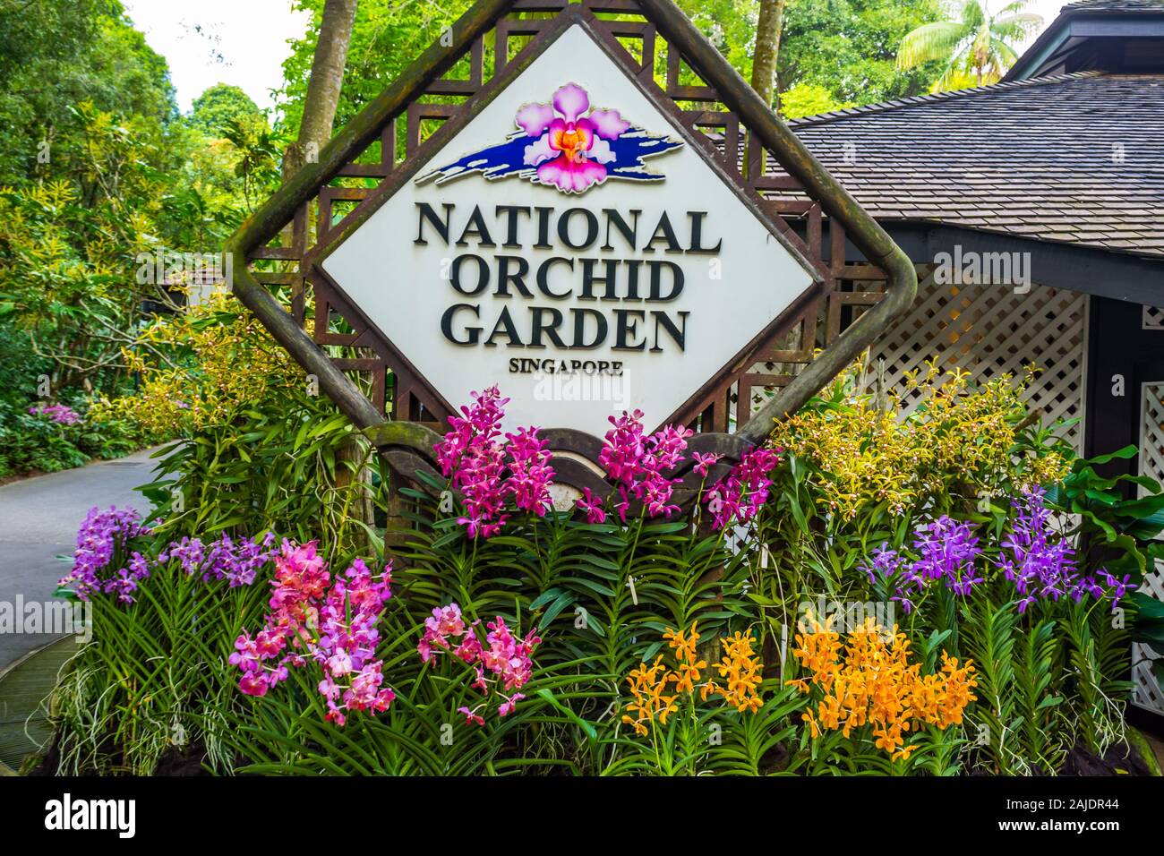 National Orchid Garden Singapore Foto Stock