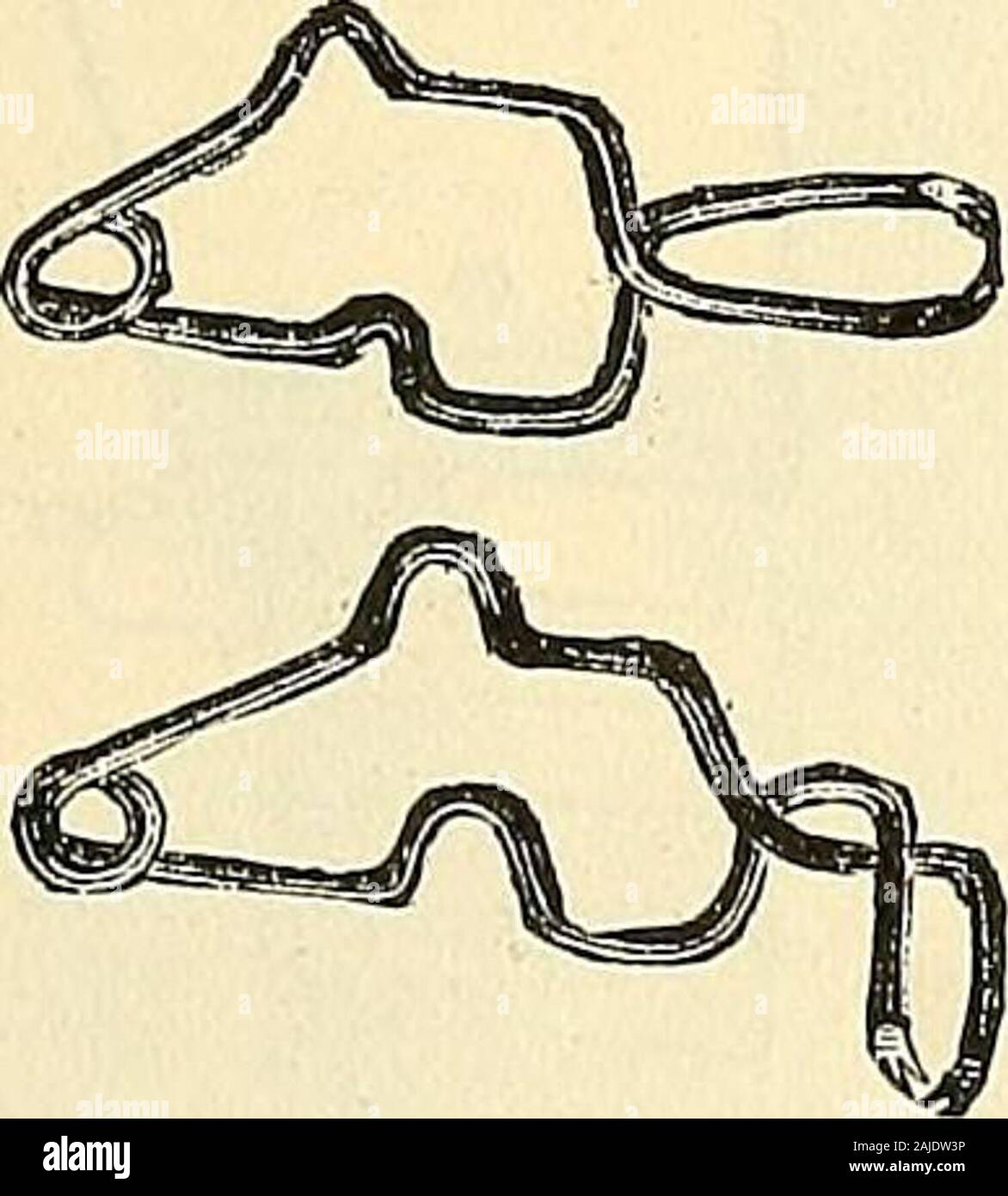 Catalogo di Sharp & Smith : importatori, produttori, grossisti e rivenditori di strumenti chirurgici, deformità apparecchiatura, arti artificiali, gli occhi artificiali, calze elastiche, capriate, stampelle, sostenitori, galvanica e batterie faradic, ecc., i chirurghi' apparecchi di ogni descrizione . 1169 1172 1164 SHARP & Smith, Chicago. 307 ri56 11571158 1159[ 160 * 161 * [ 162 ** [163 [ 164ti65[166 * * [167[168 ** [ 169[170 ]* [171[172 * [^73[174 [175L * [176 *** [177ti78[179[180 * [181 ] [182 * [183 aghi, spilli, ecc. Bucks supporto per pin $ r 50 Lepre labbro-PIN? Per doz. 15 Argento cannula ogni 35 Pla Foto Stock