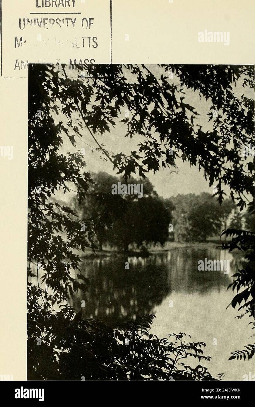 Indice . Charles P. Reed Myron N. Smith Editor-in-ChiefBusiness Manager dipartimento ILittvaxy Maria T. Boyd .... Editor John F. Lambert Elmer E. Barbiere ?Ravmond E. Smith ^rt dipartimento Harry E. Eraser . Editor Pf)otograpJ)ic dipartimento James M. Richards Editor ^tatisticj! Dipartimento Lewis L. Diirkee Walter Ij. Haynes Editore Dipartimento liuginesisf Alan V. Elynn . Advertisinf/ Manager basilico A. Needham . Sales Manager Elliot K. Greenwood. jforetDorb ha le prove che abbiamo avuto e gli amici del wehave fatta, di piaceri noi haveexperienced ed infine il knowl-bordo abbiamo guadagnato sono i factorsthat sarà com Foto Stock