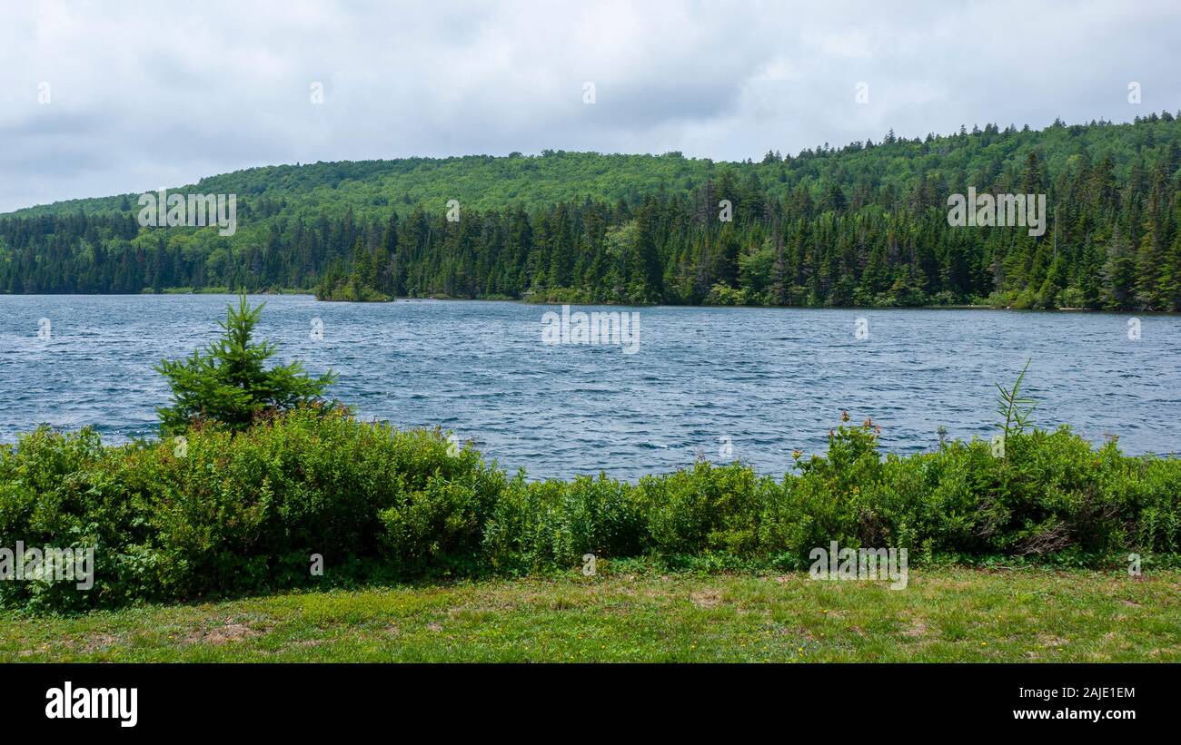 Wolfe Lake, Fundy National Park, New Brunswick, Canada. Onde di superficie in una giornata ventosa. Alti abeti e abeti sullo sfondo. Foto Stock