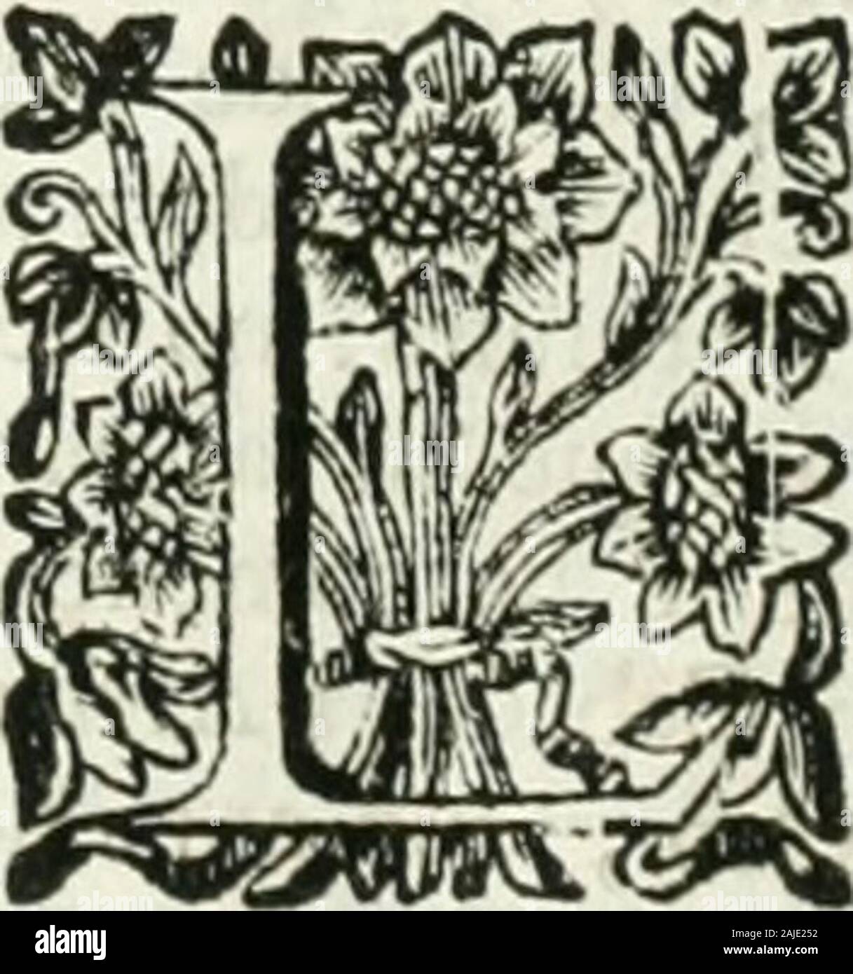 Historia general de los hechos de los castellanos en las islas mi tierra firme del mar oceano . grandesofrendas. Y eíla Cueva eílaba en la Tier-ra de vn Cacique,llamado Mauciatibcl:Creían , que en haciendo oración anteeftos Ccmis, llovia. Decían , que losmuertos iban á vn Lugar , dicho Coay-bay, á vna parte de la Isla, llamada così-raya , ho que de Dia eftaban los muertoscerrados , i por la noche filian á hol-garfe, mi fe aparecían á los vivos en per-ma de Hombres, ho Mugeres : io que tal fehalló Indio , que queriendo pele.ircon vn muerto , defapareció , mi fe hallóafido de vn Árbol : io que los muerto Foto Stock