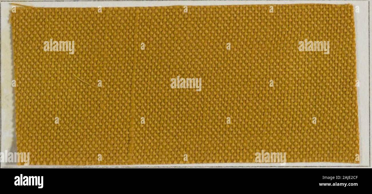 Nuovi prodotti fabbricati da Farbwerke vorm MEISTER LUCIUS & Brüning, Hoechst sul Main, Germania. . £ a 2 libbre calcinedsoda e da 3 a 5 lb. sale per 100 kg di merci. L'AFER-trattamento con sali di rame fornisce colorazioni di molto grande solidità, le sfumature inquesto caso essendo di una tonalità marrone. La presenza di rame e ottone deve essere evitata, il colorante-navi devono essere di legno onel ferro e il vapore tubi di ferro o di piombo.. Foto Stock