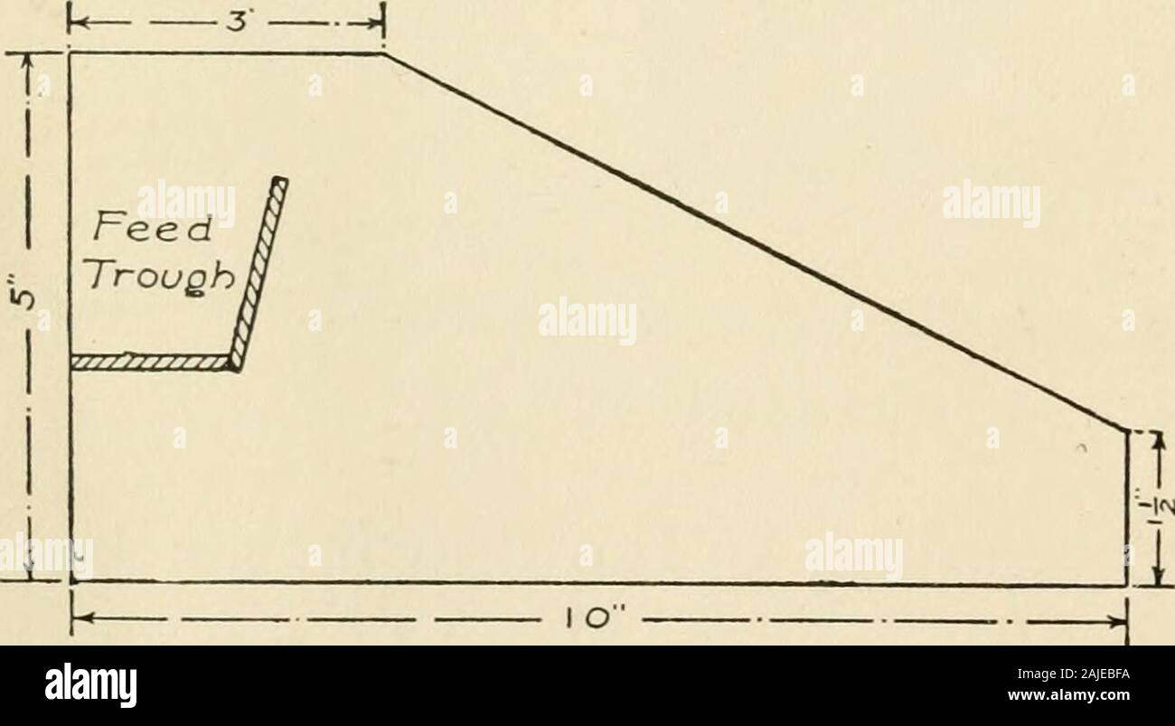 Il ragazzo artigiano; pratico ad idee redditizie per un ragazzo in ore di svago . Fig. 116. - Anteriore Gable-end. mobile come nel caso della bambola-house. Effettuare una tre-da-cinque pollici finestra nel centro di D, e fissare il vetro in posizione withstrips tagliato come de-inciso in ChapterV. Strisce devonoessere inchiodato deltetto appena all'interno del mobile di sec-zione per impedire thelatter da settingin troppo lontano e un moschettone fissato a C e D comeviene indicato, per tenere la sezione mobile in posizione. La figura 117 fornisce i modelli e le misurazioni peril partizioni di stallo, quattro delle quali dovrebbero essere tagliati outand fissato al piano Foto Stock