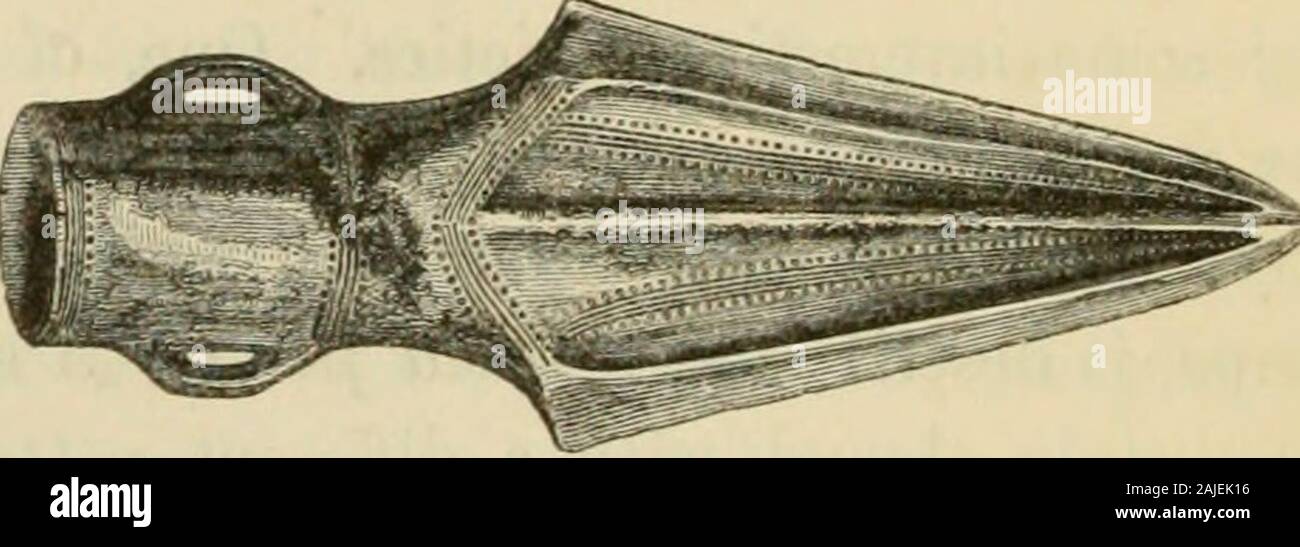 L'archeologia preistorica e annali della Scozia . nd o-namental dispositivi. Il w^oodcut rappresenta un ottimo double-loopedspear-testa, cinque e due-quinto pollici di lunghezza, che si trova vicino al fiume Dean,Angusshire, e ora nella raccolta di Mr. Bell di Dungannon.giavellotto e spear-teste, decorata con simili ornamenti dentellata,sono stati soddisfatti con entrambi in Scozia e in Irlanda. Il più grande lo spear-capi anche ora occureyed, come è stata definita, orperforated con una varietà di aperture ornamentali,surioundedwith frequentemente un bordo in rilievo, e.altrimenti decorata ac-onformemente alla fantasia del progettista. Tra t Foto Stock