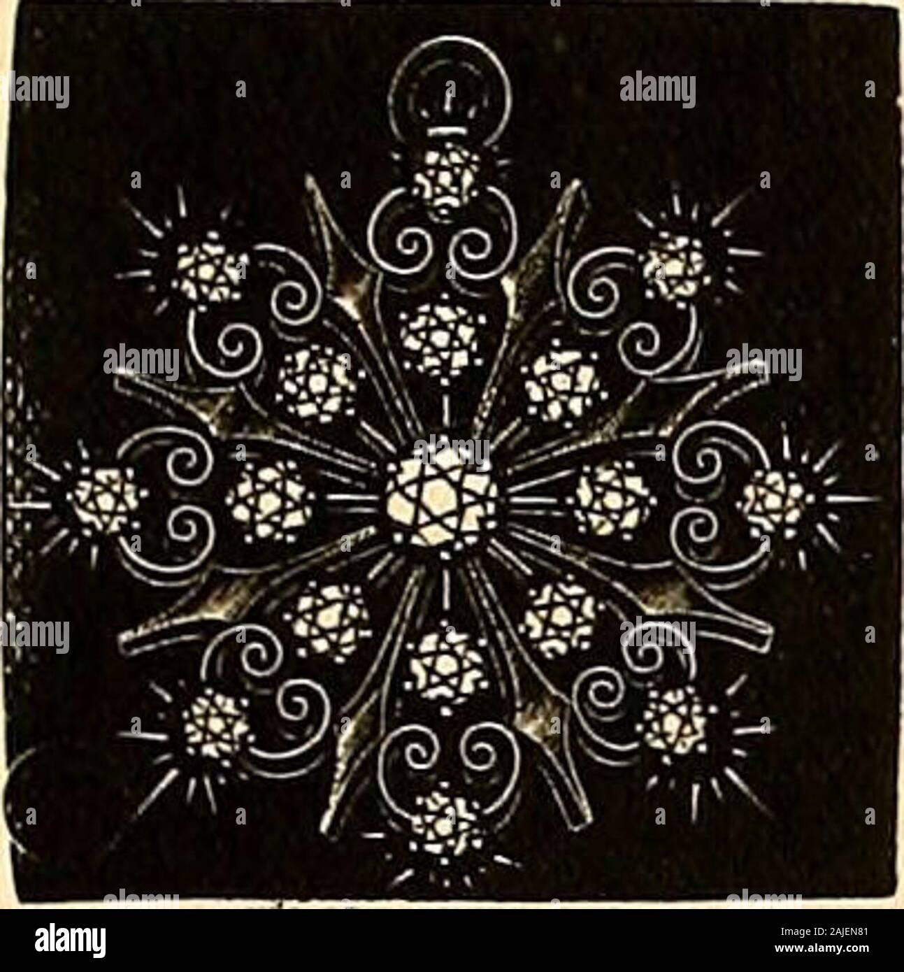 Iris 1904 . - BRoi fotografi • HERftV jt tjn,0f^^fsf -&GT;= 1 g j^ gioielli con diamanti quelli il cui interesse risiede nel fatto che la qualità di esclusività che proviene solo da themost intima conoscenza di modalità, materiale, rendendo, e dall'inesauribile buona tastein la selezione.troverete la nostra collezione di diamanti gioielli montati più soddisfacente. MERMOD & JACCARD La figura mostra una bella   - -, il diamante spilla, design di scorrimento, JeWelrV CompanV 17 nerfectlvcut diamanti. t&GT;&LT; &LT;t / r/ &lt;"r. Broadway e Locust St. Louis. 17 perfettamente-cut di: prezzo $160.00 bustina di polveri wc WatersPapie Foto Stock