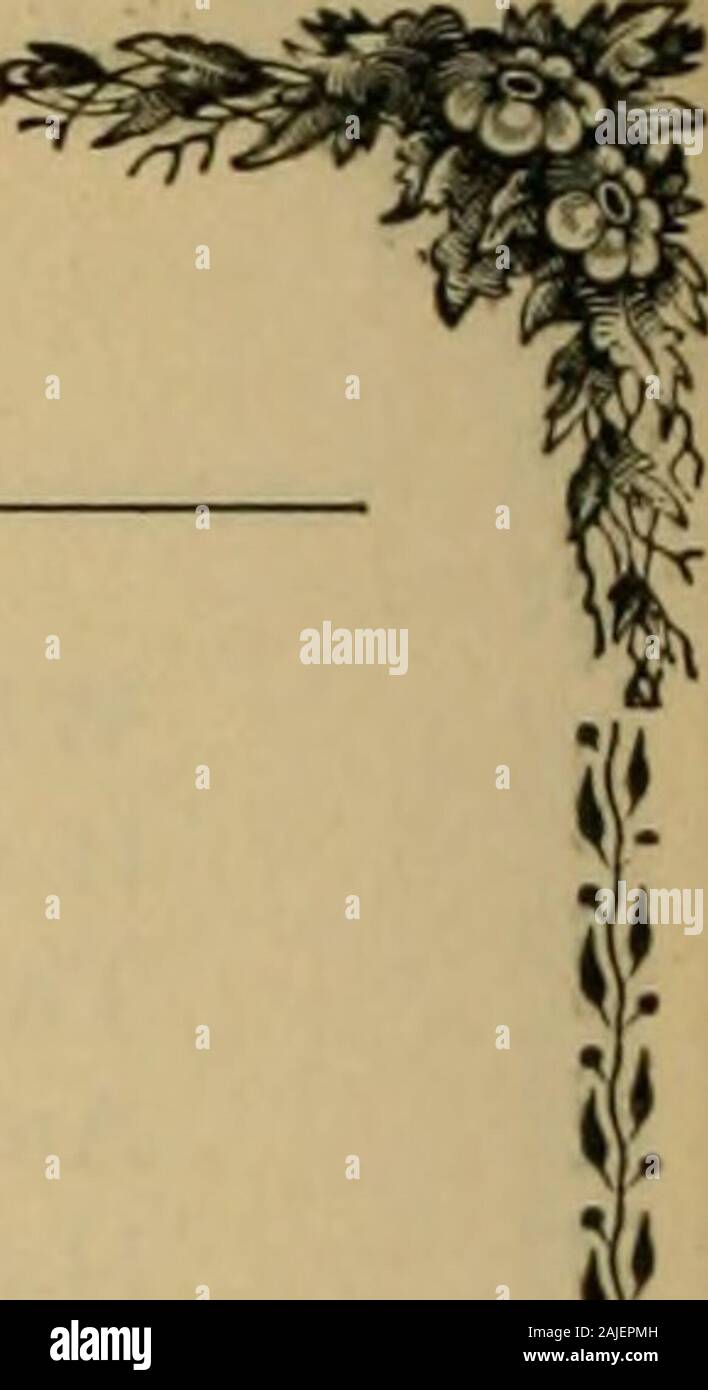 La cameriera di Redenfayn, allegoria dei due mondi, in tre libri: ho il libro degli amori e sogni . Credo che aveva abbandonato lui: così sulla mia fronte il marchio di Caino ha posto, tutti i miei estates e onori egli in ira ha fatto confiscare. E mi ha bandito per questa isola solitaria. Dove nessuno prima della loro casa aveva mai fatto ma i pirati, contrabbandieri e vile picaroons. Questo bambino di miniera e Jux. un fedele serf, la mia unica compagnia. Ma con i miei libri e pensieri, e questa cara ragazza, e il buon vecchio Jux, Ive stato felice a metà il ripugnante snarls e meschine gelosie della vita pubblica. Qui potrei morire contenuto ma per Foto Stock