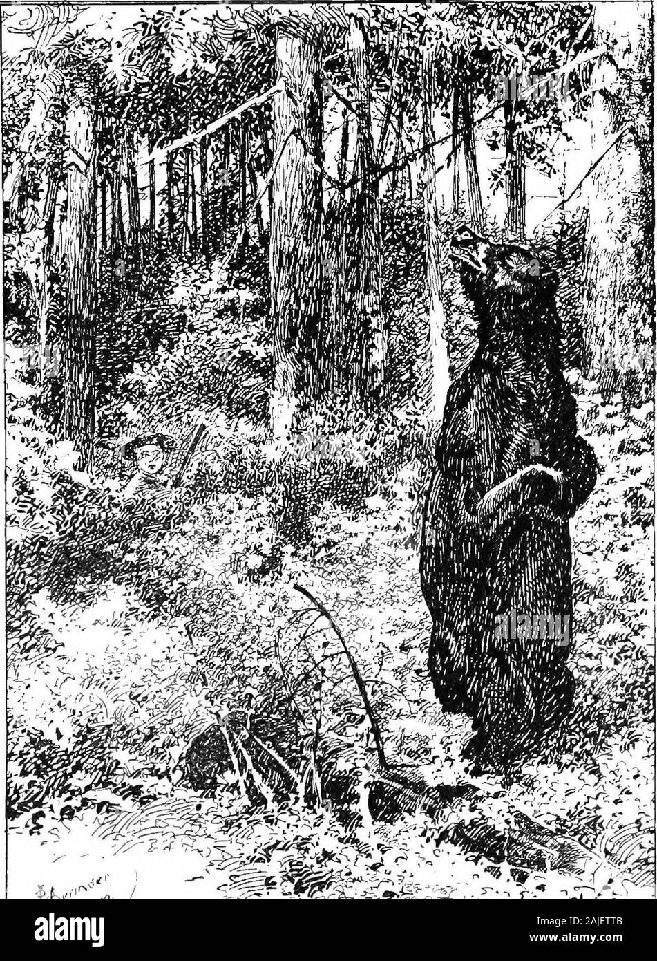 Vero orso storie . n 42 vero storie di recare il mio volto e riprodurre un opossum e mettere in un po di preghiera o due sul lato, come-^ben,che mi stava dicendo che se dovrei writeall che lampeggiato e risucchiata attraverso mymind nei prossimi tre secondi, è ad alte luci verrebbe molto stanco. Ero certo che non avevo hitthe recare a tutti. Come una regola è possibile alwayssee la pelliccia fly, come cacciatori metterlo; solo itis non pelliccia, ma la polvere, che vola. Ma questo orso è stata molto grasso e caldo, andso non ci sarebbe potuta essere nessuna polvere per volare.Dopo il rimescolamento a pochi passi avanti andstraight per il fiume, ha improvvisamente surgedup nuovamente, sembrava tutto circa, jus Foto Stock