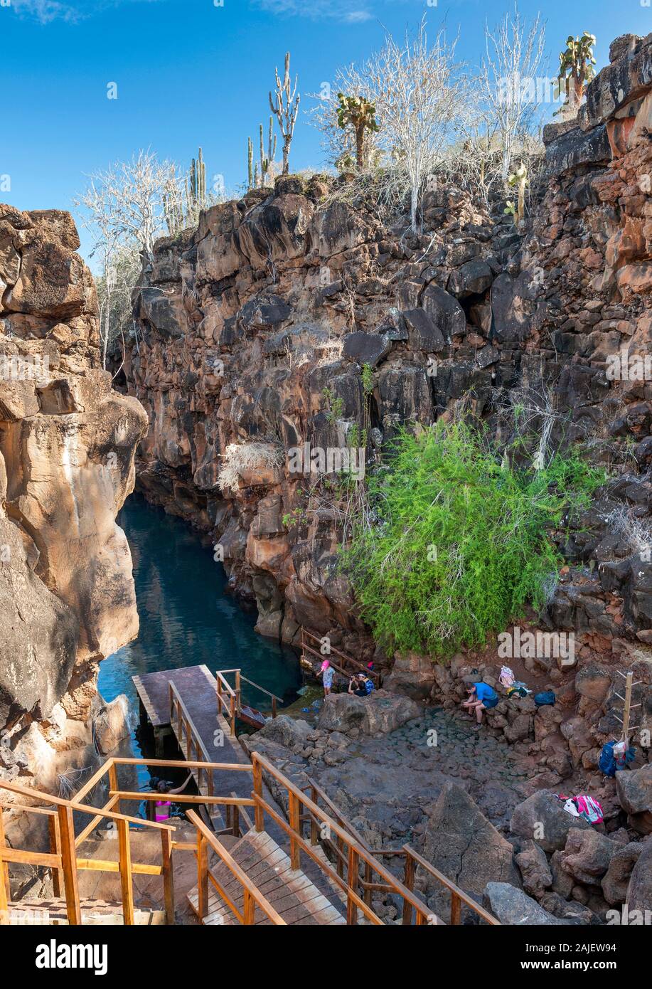 Las Grietas, una fessura vulcanica riempito con acqua salmastra sull isola di Santa Cruz, Galapagos, Ecuador. Foto Stock