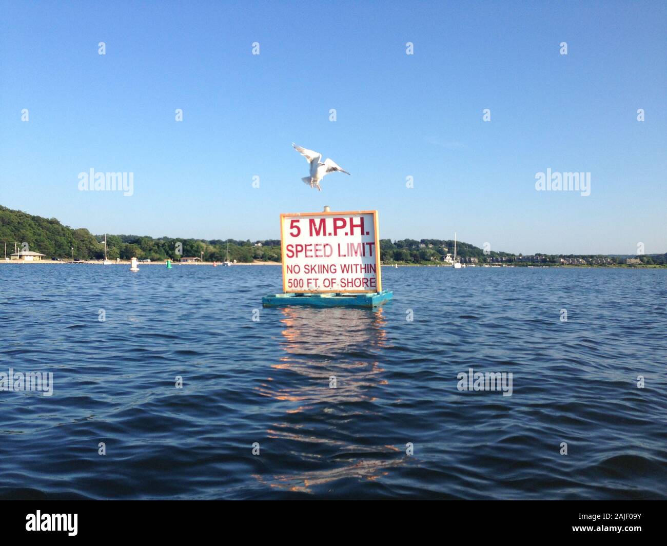 Un segno flottante rilevando le 5 miglia per ora il limite di velocità per le barche e no sci entro 500 piedi di riva. Foto Stock