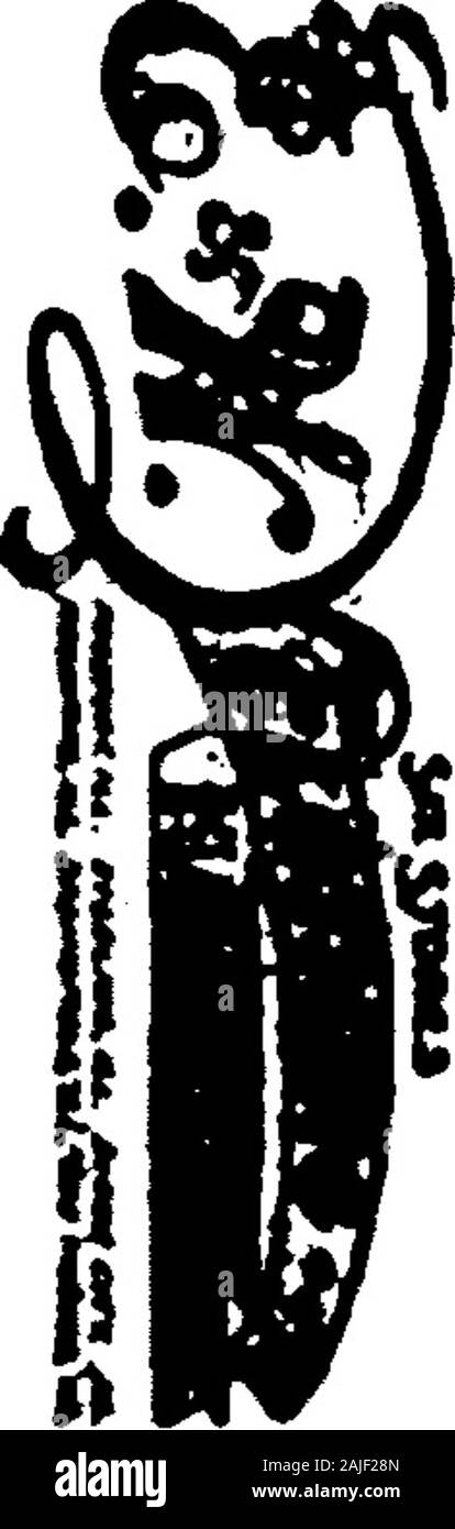 1921 Des Moines e Polk County, Iowa, Città Directory . oks scuola4th Nora tchr McHenry Scuola17th Ruth attndt Dr F W av ShawWoodland Sarah B onorevole rms 819 6thJdwin R (S & S Garage) res<3^rand av arry R (S & S Garage)Des MoinesShettle Gdo E hlpr Eagle ferro Wks XBlfl res e corte avShettlewo^th Jesse (c) laboratorio bds 208 sUnion HO SHEUERJV UN BROS (c)M UNA Sm uerman Pres, M L Sheuer-MAN V-Kres, J L Sheuerman Sec, HL Sheuerman Treas, Lana Mnfrs80 w 8th, Vigna e del mercato, TelWalnut|4l36 Sheuerman Henrietta bds 4913 Grand Sheuermari Henry L treas SheuermanBros (Iric) res 117 42d Sheuerman Giacobbe un trav Foto Stock