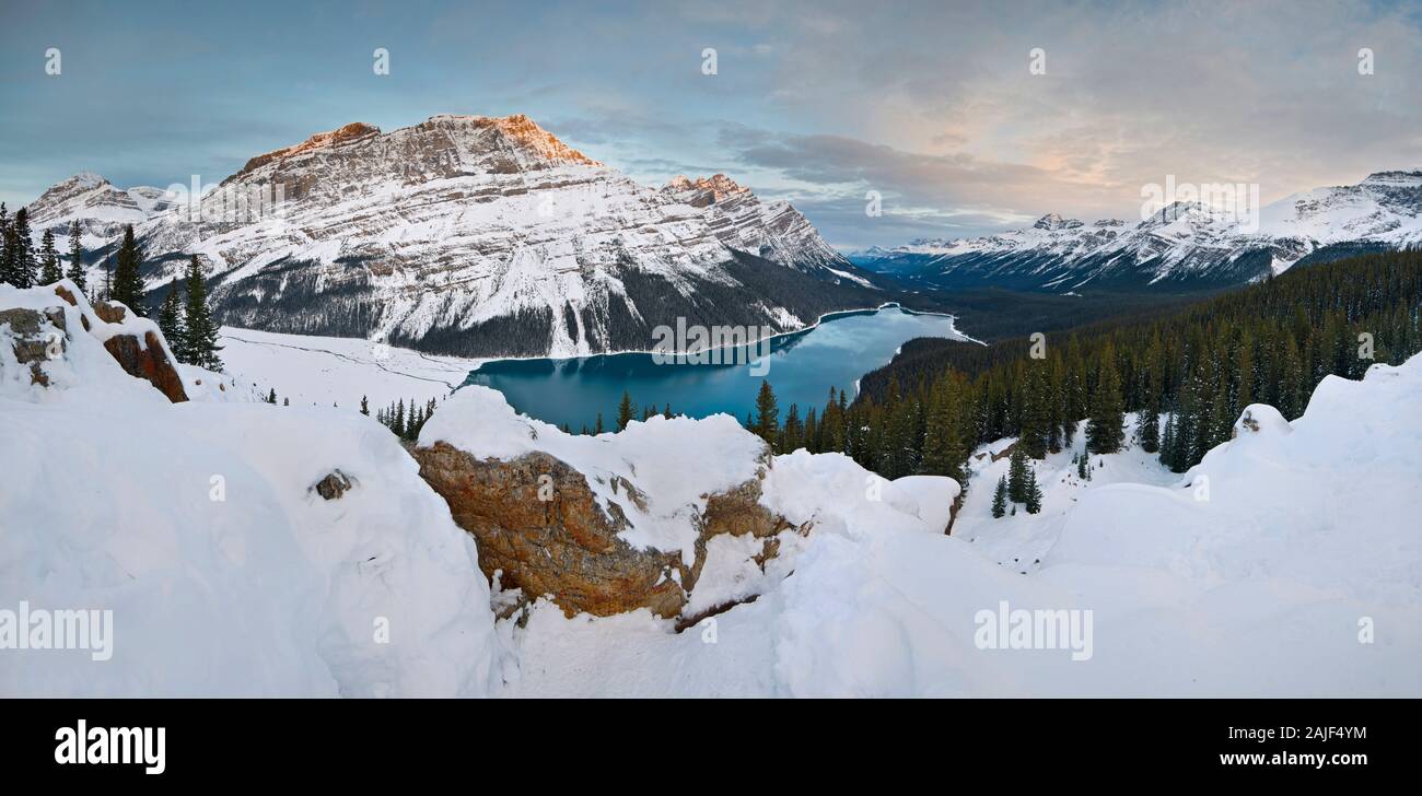 Il Lago Peyto - Banff - Canada Foto Stock