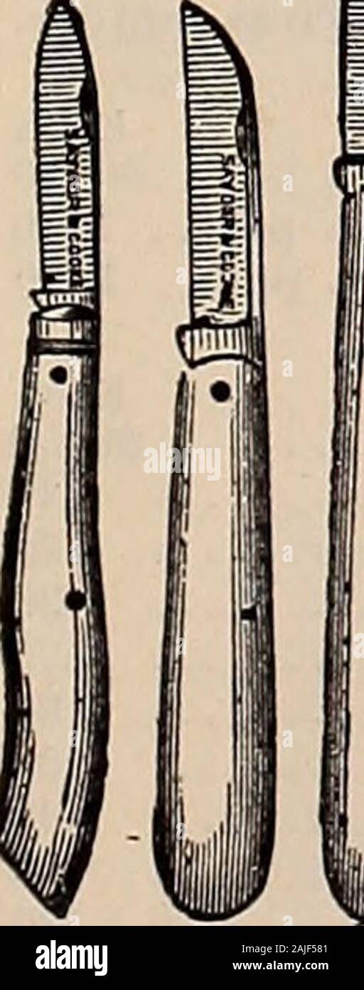 Beckert's garden, campo e semi di fiori . Germogliando i coltelli. 5- inch 6- pollice a 8 pollice etichette, giardino- 8 pollici; 1% in largo 10 pollici; 134 in largo 12 pollici; IK in largo 14 pollici; 1% in. Ampia etichette, Tree. Verniciate; rame-wired.3% pollici Foto Stock