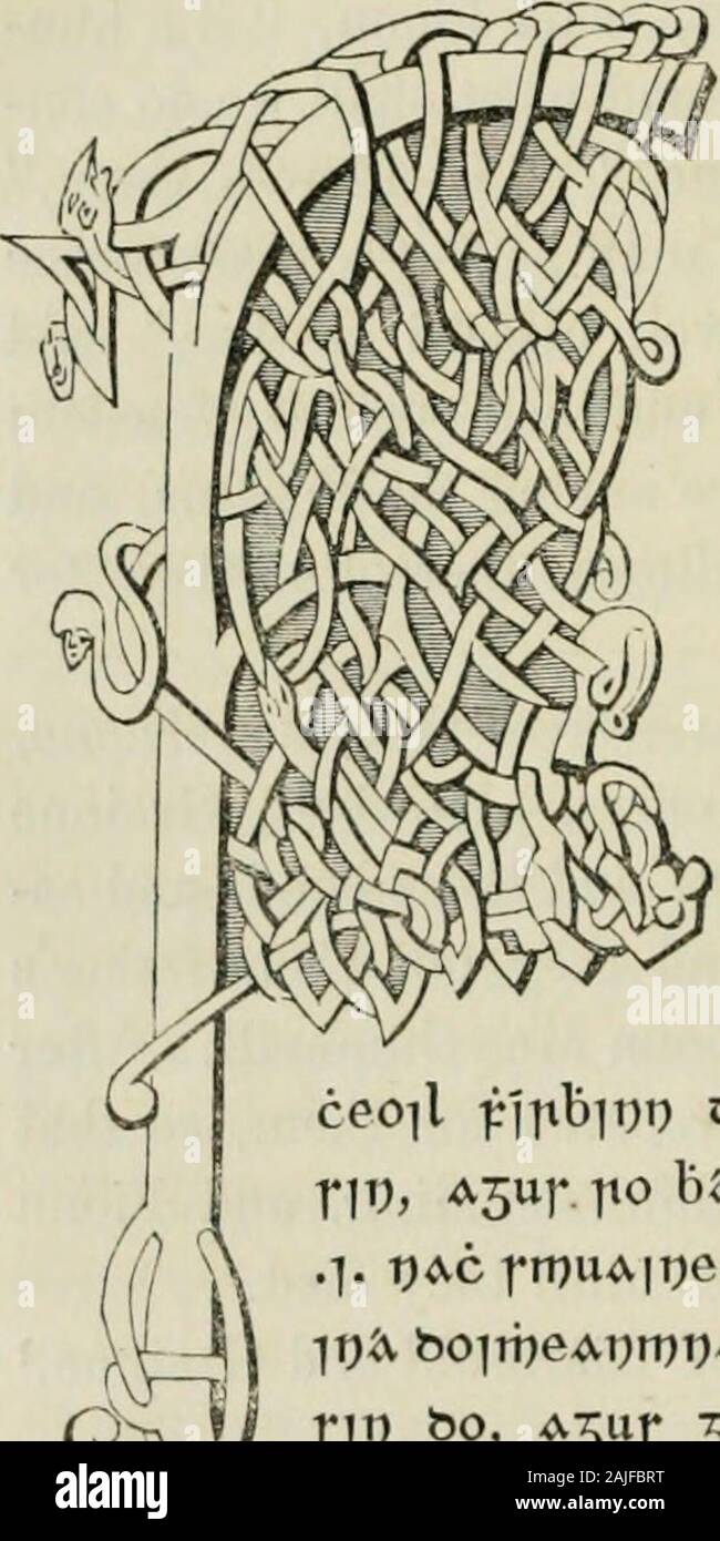 Le operazioni della società Ossianic . l che facciamo con-cerning quelli [giovani], 0 Grainne ? Andrò a loro,detto Grainne, per provare se mi può essere in grado di rendere peacebetween voi. Ho dovrebbe essere ben lieti che, saidFionn, e vorrei dare a loro e alla loro discendenza freedomfor mai e i loro padri hanno posto tra il Fenians, andbonds e cauzioni per il suo adempimento a loro per sempre e mai. Grainne va loro incontro e dà loro un benvenuto,e li rende il suddetto oflers. Perň, Grainnemade pace tra di loro finalmente, e questi legami e se-curities hanno dato a loro ed essi g- Foto Stock