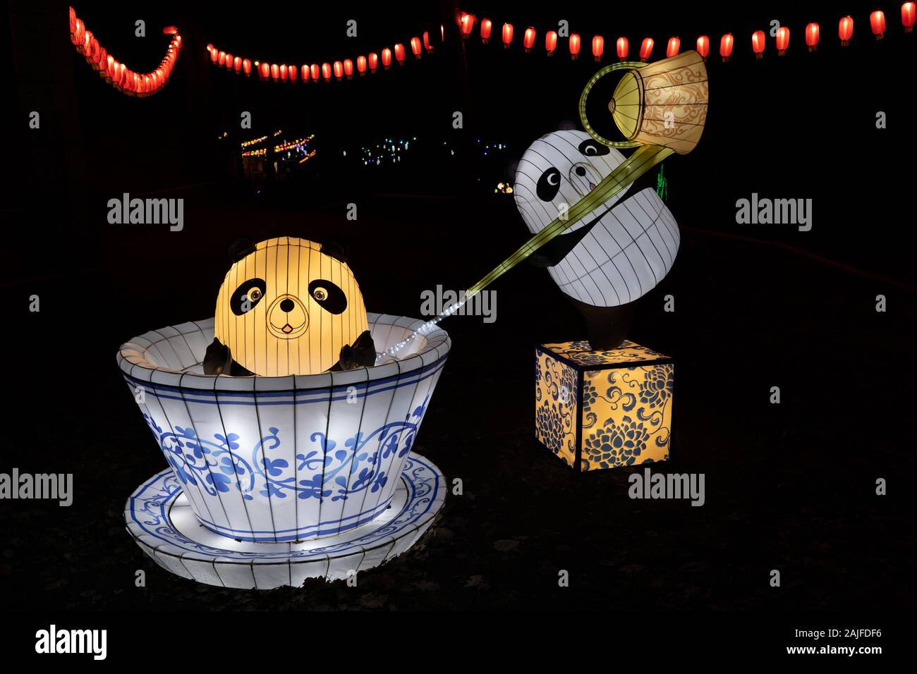 Varsavia, Polonia - 16 dicembre 2019: Orso Panda in una tazza di tè al cinese Light Festival, la cultura Cinese tradizionale mostra, illuminazione notturna a F Foto Stock