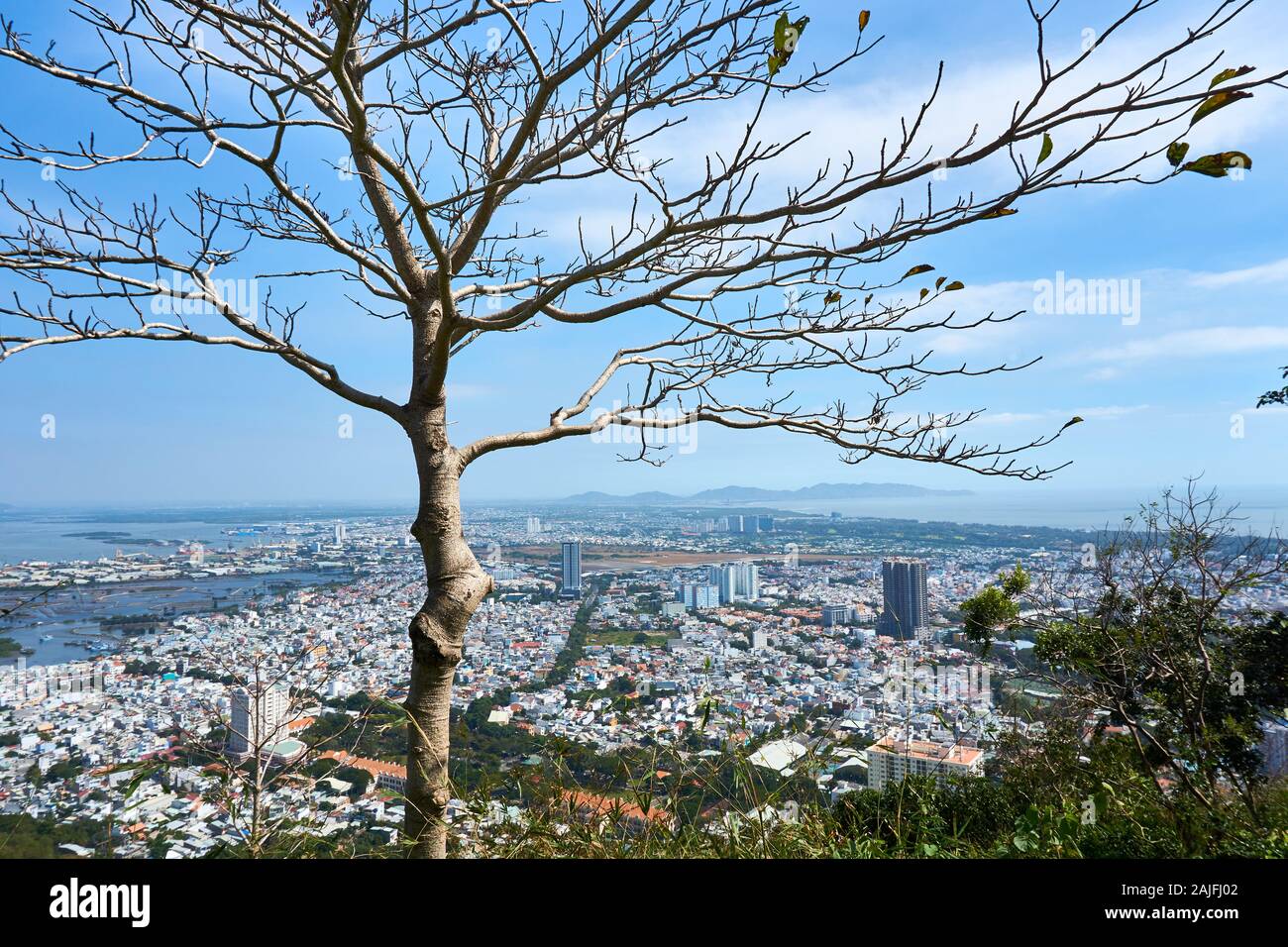 VUNG TAU, VIETNAM - dicembre.24.2020: Vista su Vung Tau con albero in primo piano. Foto Stock