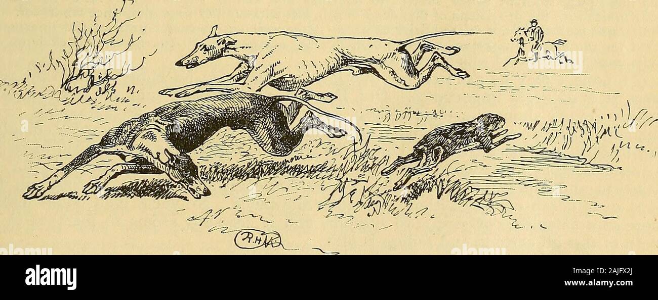 Gita . e agajn riprovevoli uomini insinuarsi nei coursing cerchi, ma all non ha tollerato a lungo. Queste sono themen Byron descrive chi sono stati mal cresciuti e sono state bornbilious, e di cui il vecchio Champneys chiamato Cor-rithumpians attraversata dal maiale e il diavolo ona jackass stock, e sono un fastidio inwhatever società che vengono soddisfatte con i. Il terzo giorno s coursing è finita, thePurse e la piastra sono state decise,l'ultimo cravatte per la coppa si stabilirono, cheersfor vincitori sono state fornite e allprepare di wend verso casa e cena.In questo passaggio verso la stazione ferroviaria wesee un welcher ottenendo pagato per hi Foto Stock