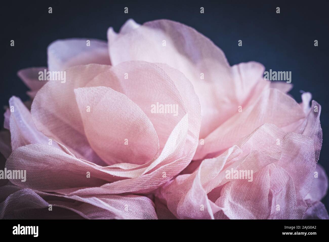 Petali di rosa di una rosa in tessuto. Foto Stock