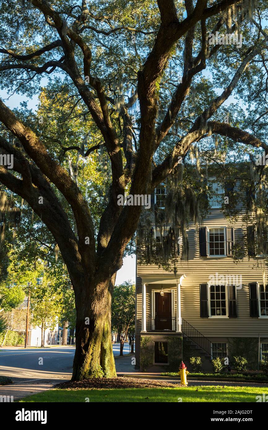 Tipica casa nel centro di Savannah, GA, Stati Uniti d'America Foto Stock